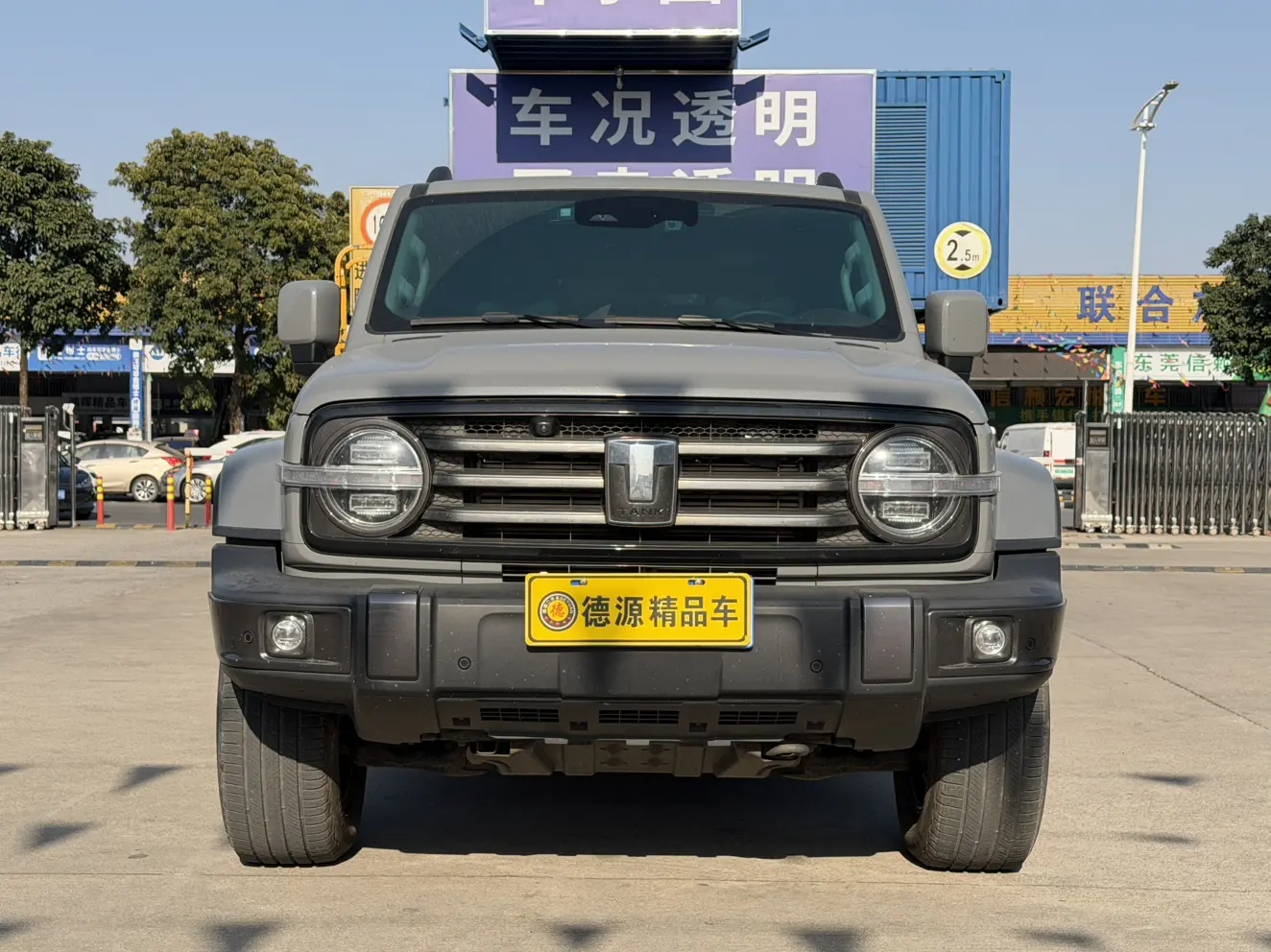 Tank 300  из Китая