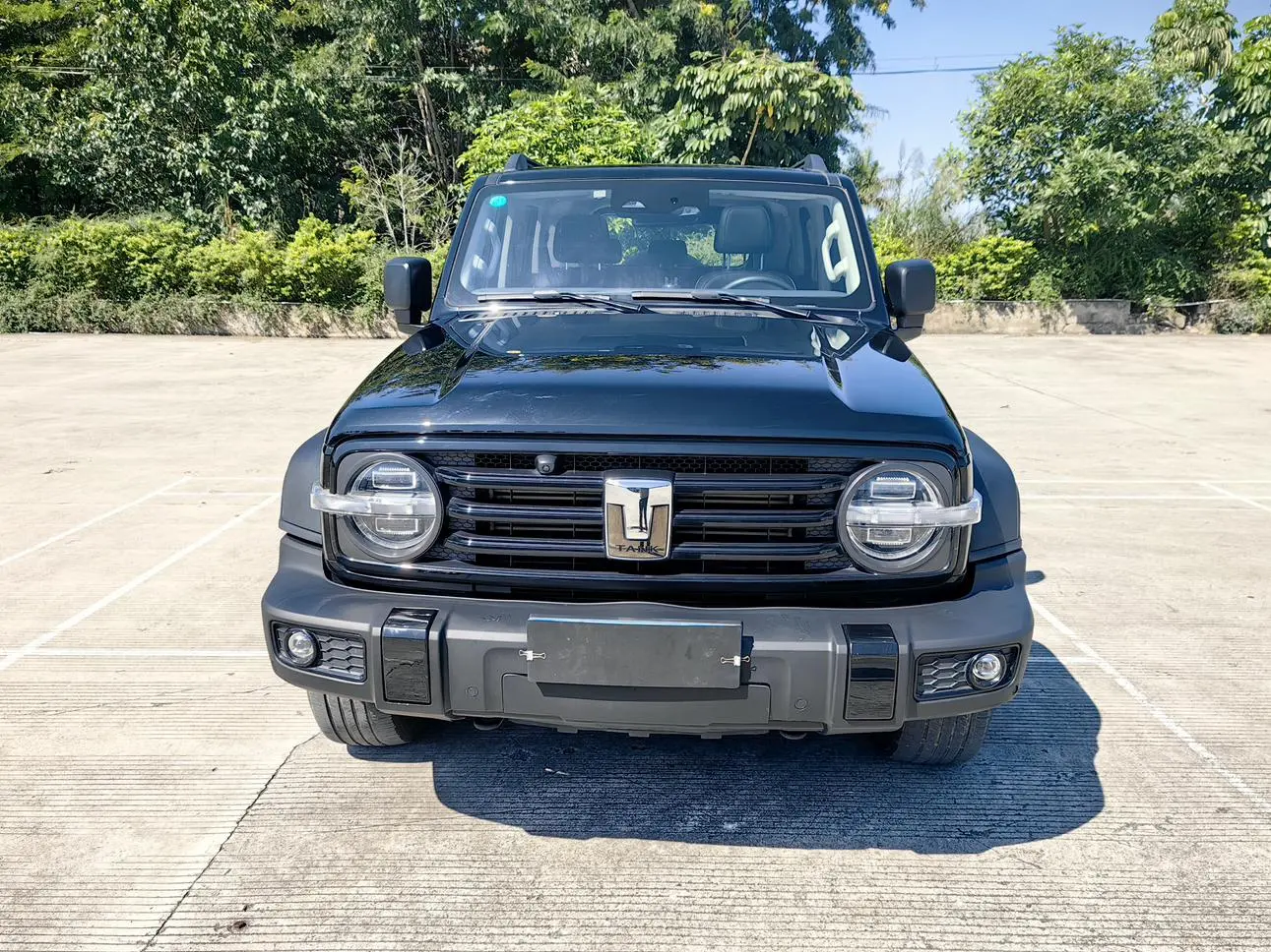 Tank 300  из Китая