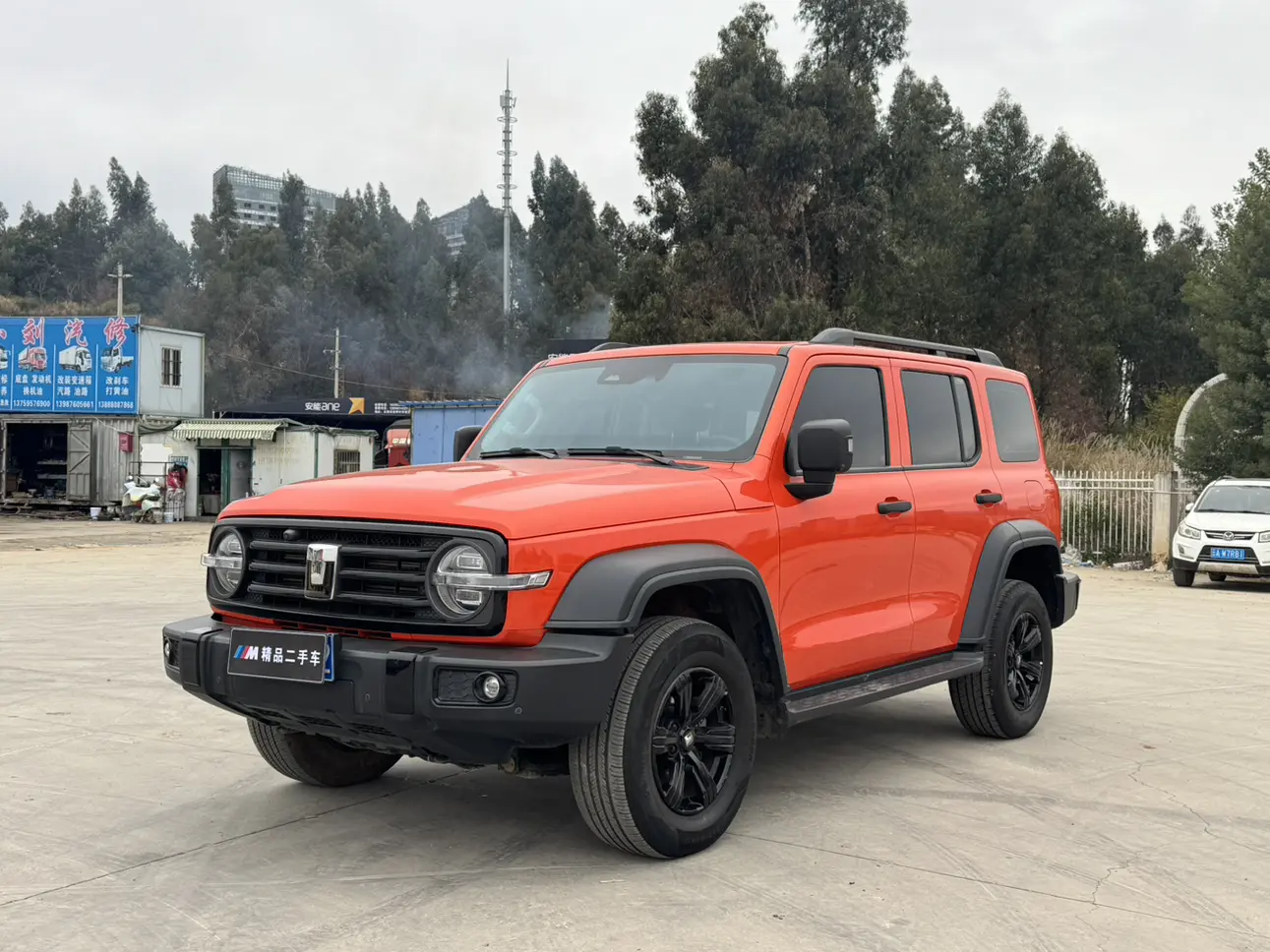 Tank 300  из Китая