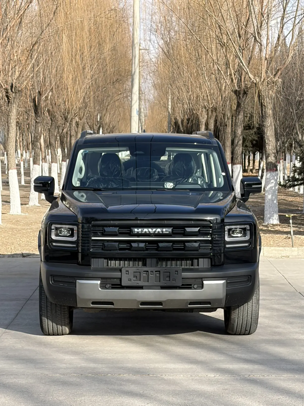 Haval Raptors PHEV  из Китая