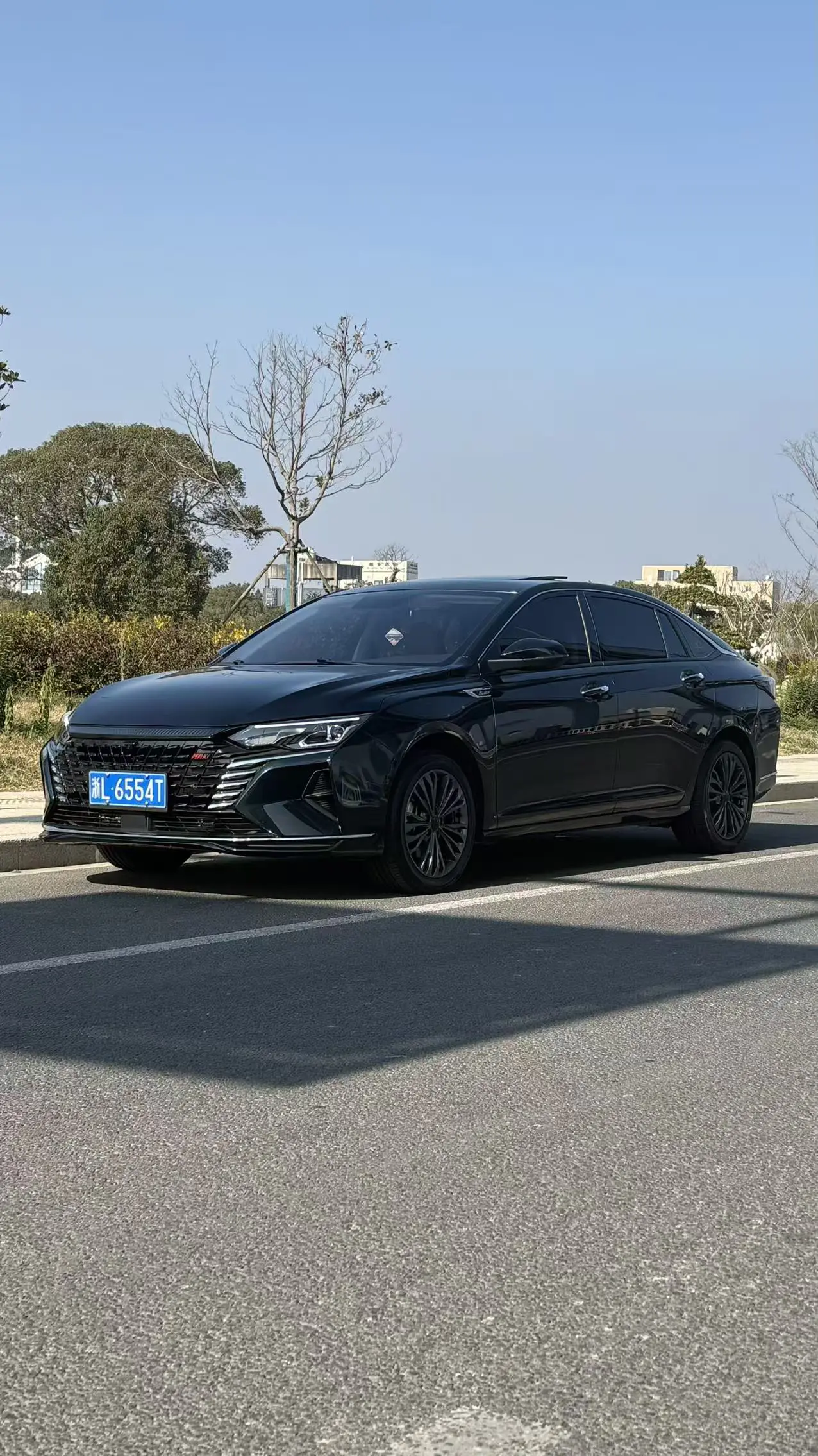 Dongfeng Yixuan MAX  из Китая