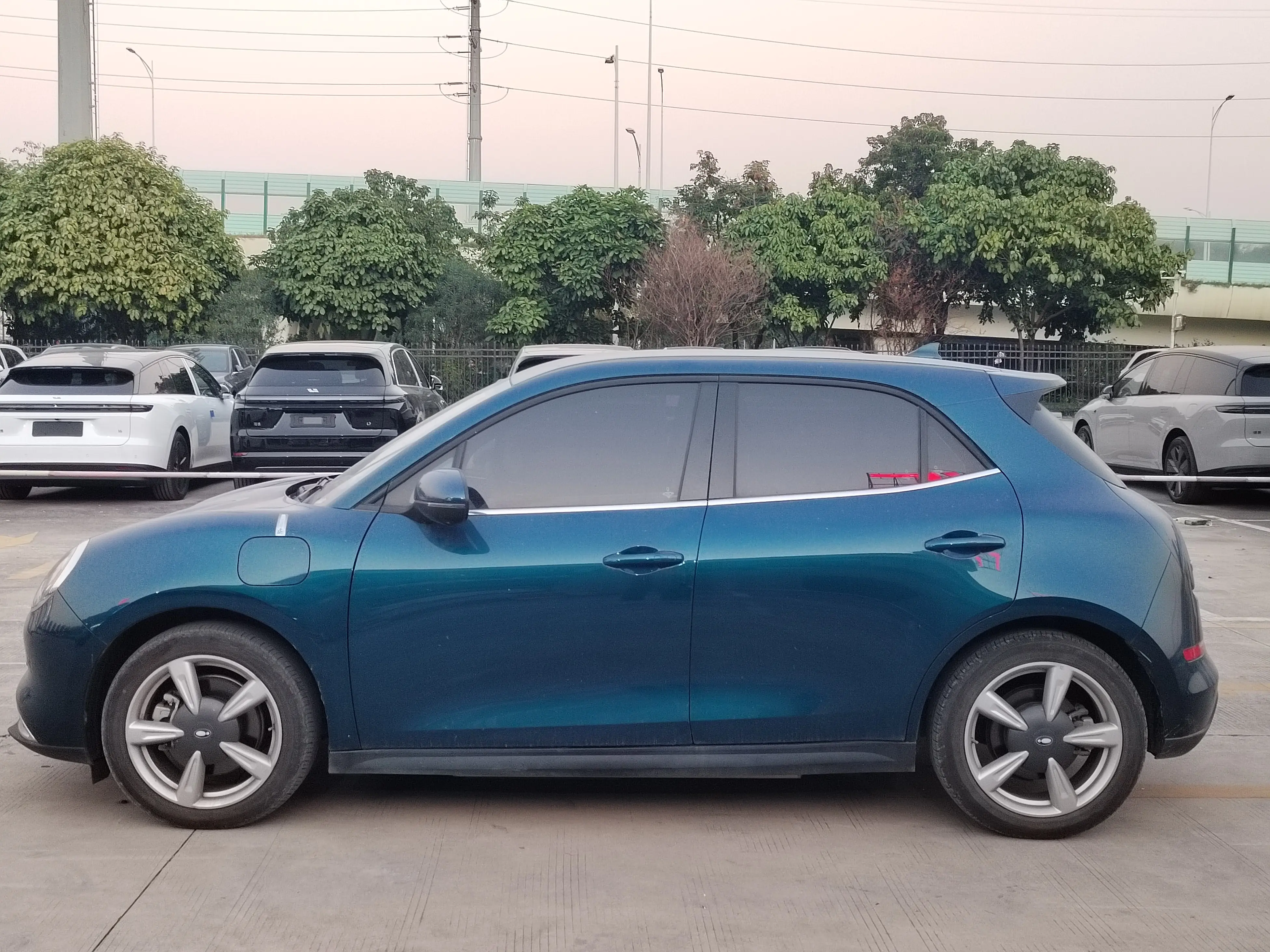 ORA Euler good cat  из Китая