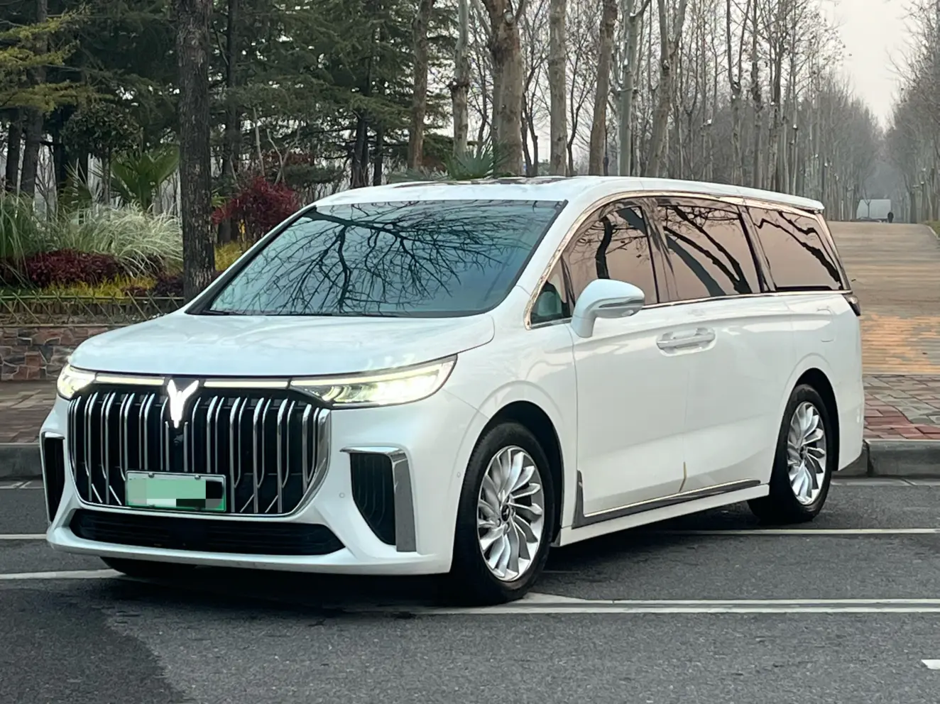 Voyah Lantu Dreamer PHEV  из Китая