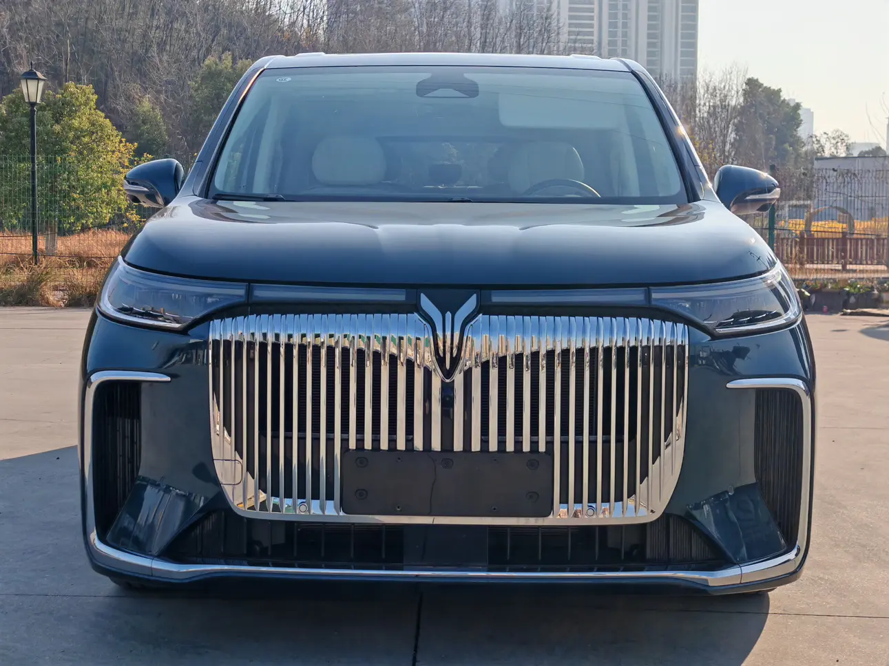 Voyah Lantu Dreamer PHEV  из Китая