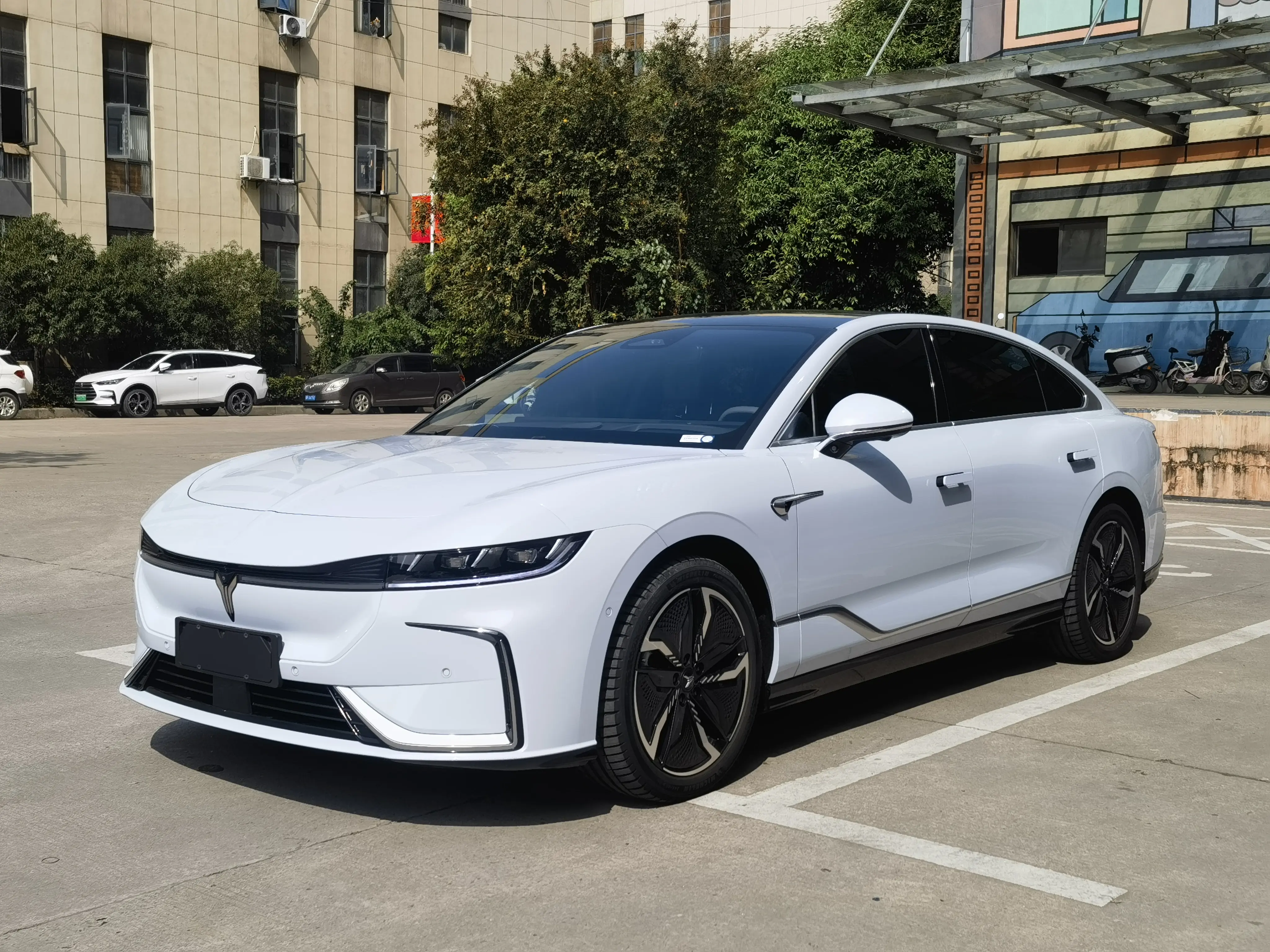 Voyah Passion EV  из Китая