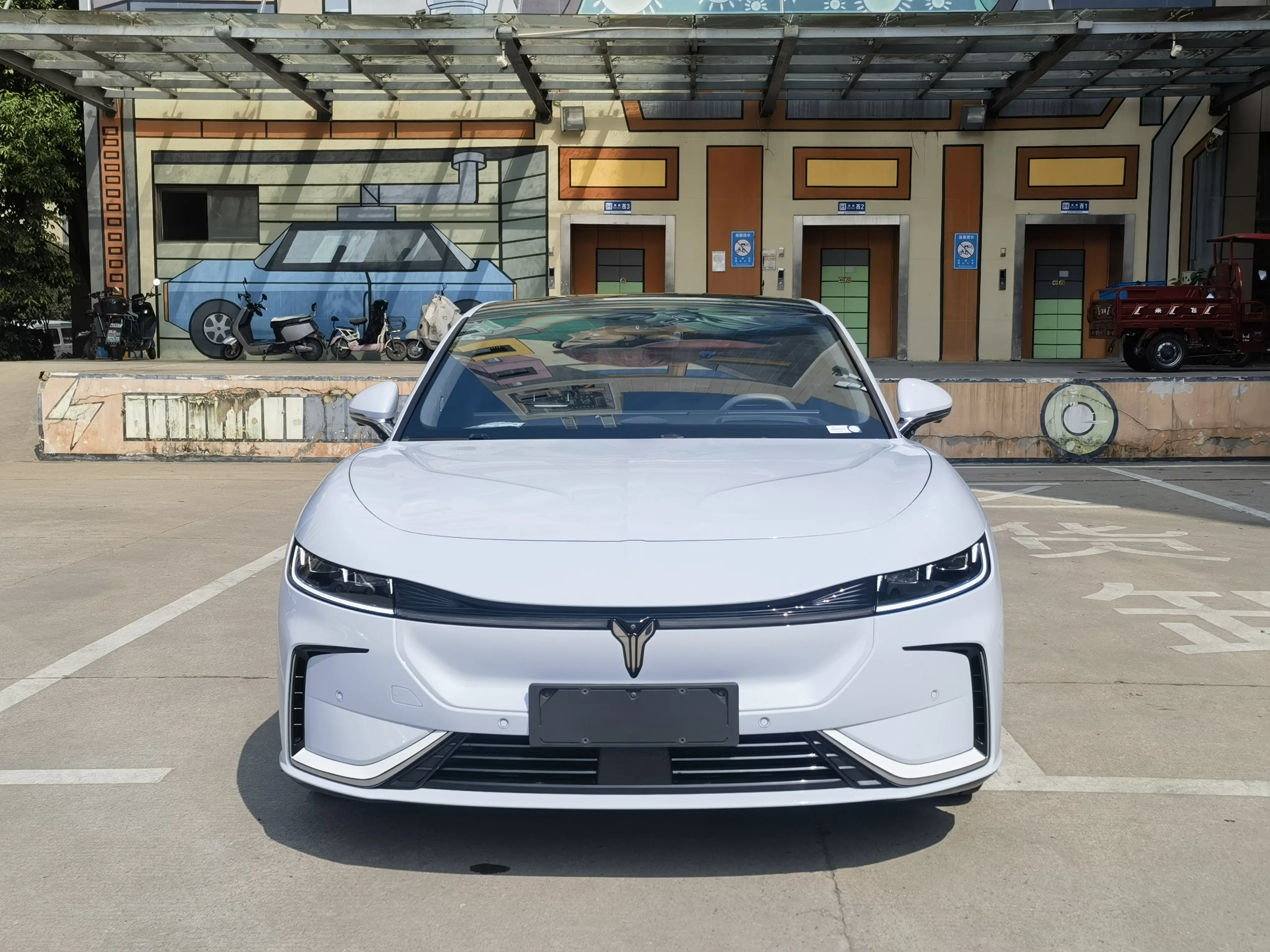 Voyah Passion EV  из Китая