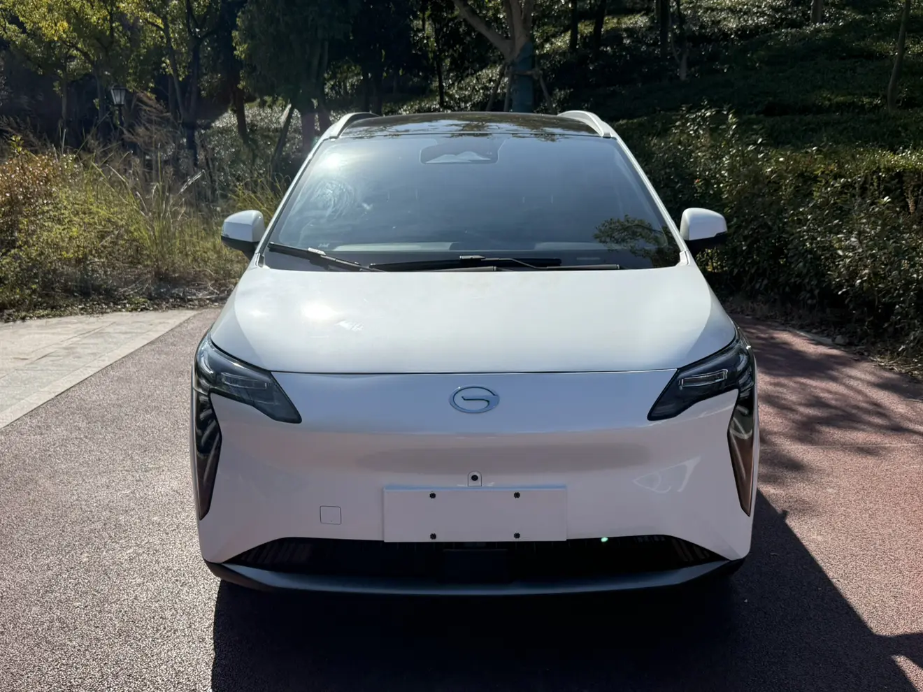 AION Y  из Китая