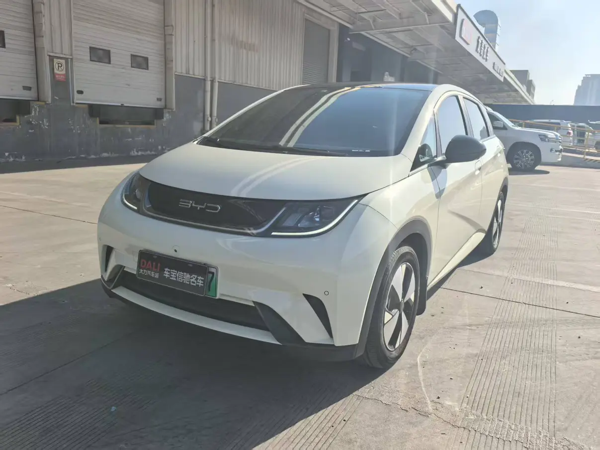 BYD Dolphin  из Китая