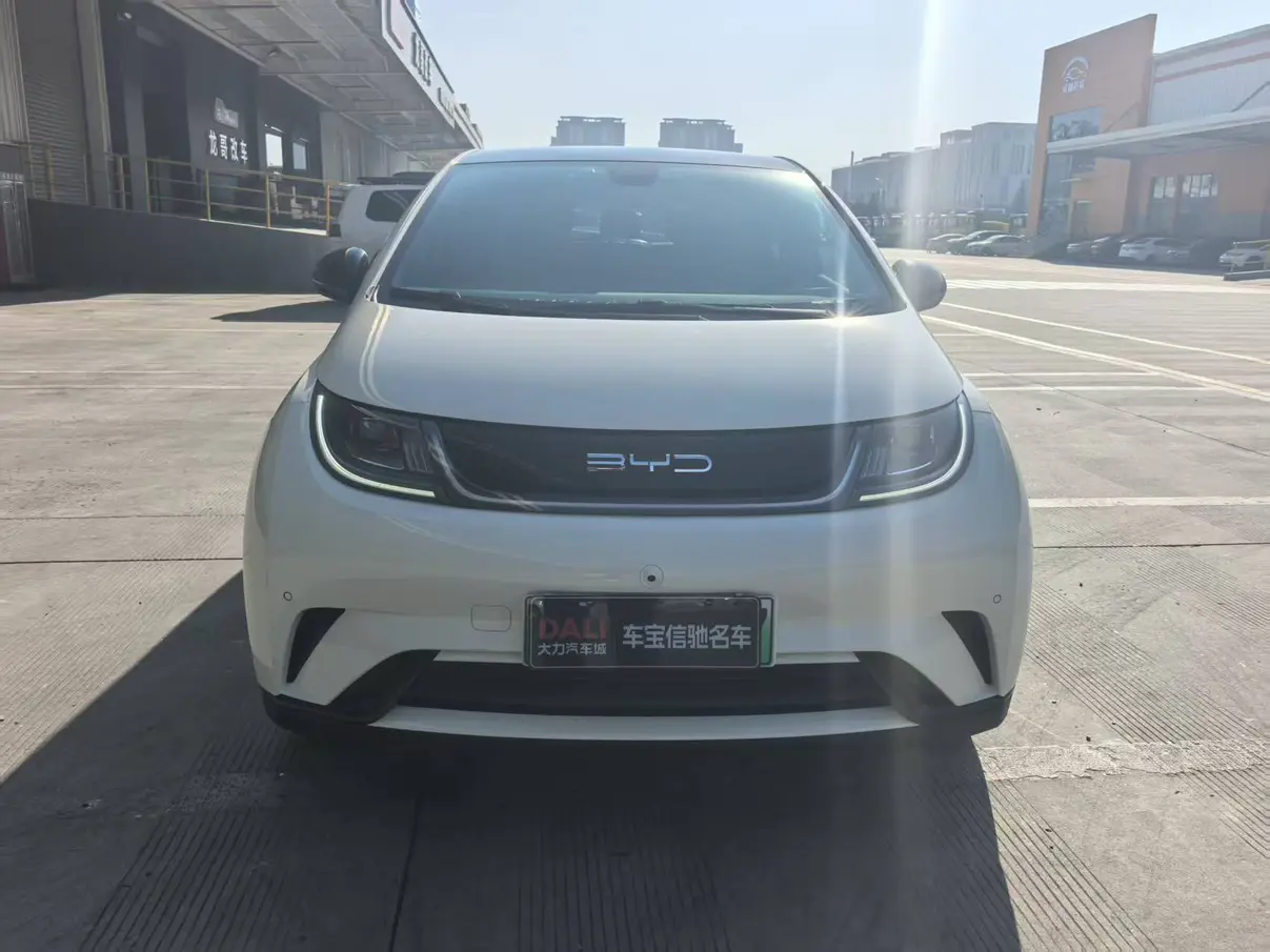 BYD Dolphin  из Китая