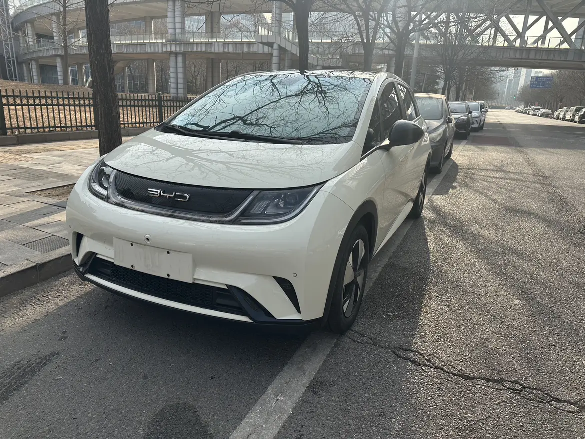 BYD Dolphin  из Китая