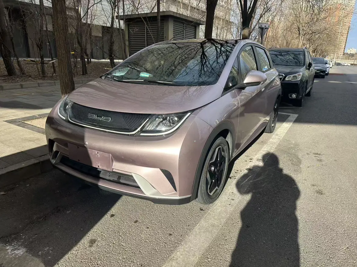 BYD Dolphin  из Китая