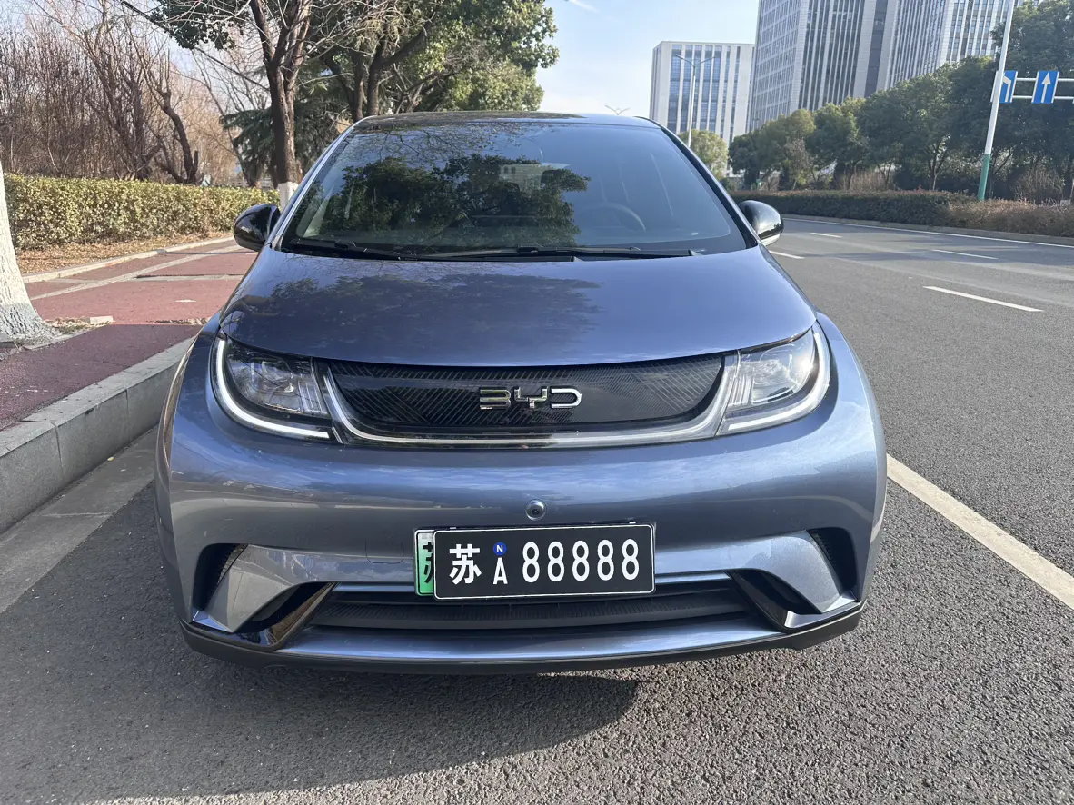 BYD Dolphin  из Китая