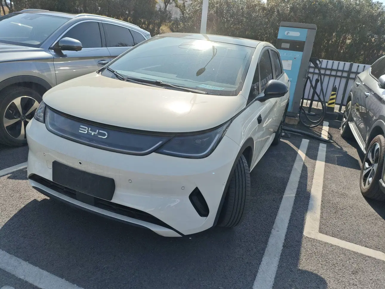 BYD Dolphin  из Китая