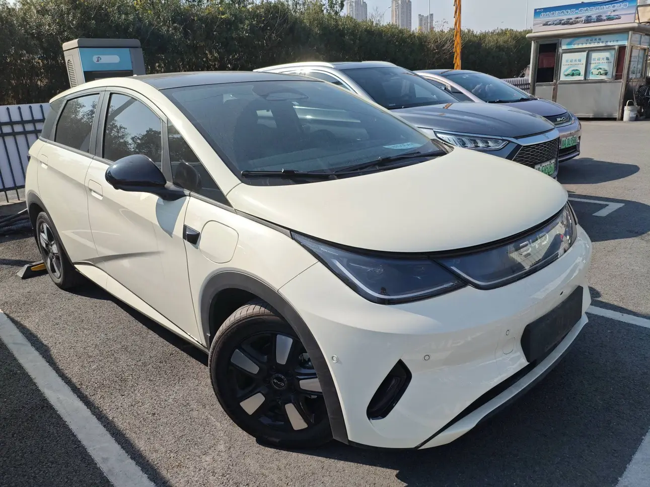 BYD Dolphin  из Китая