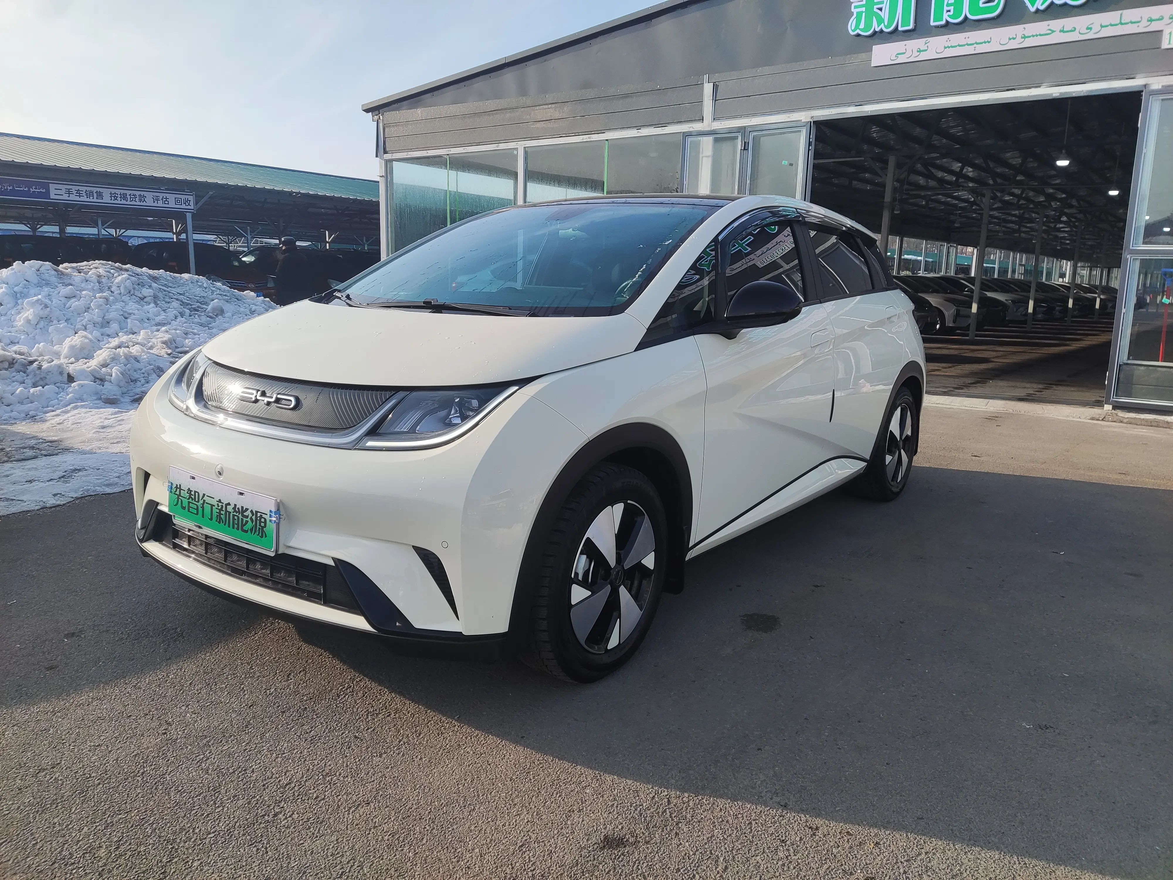 BYD Dolphin  из Китая