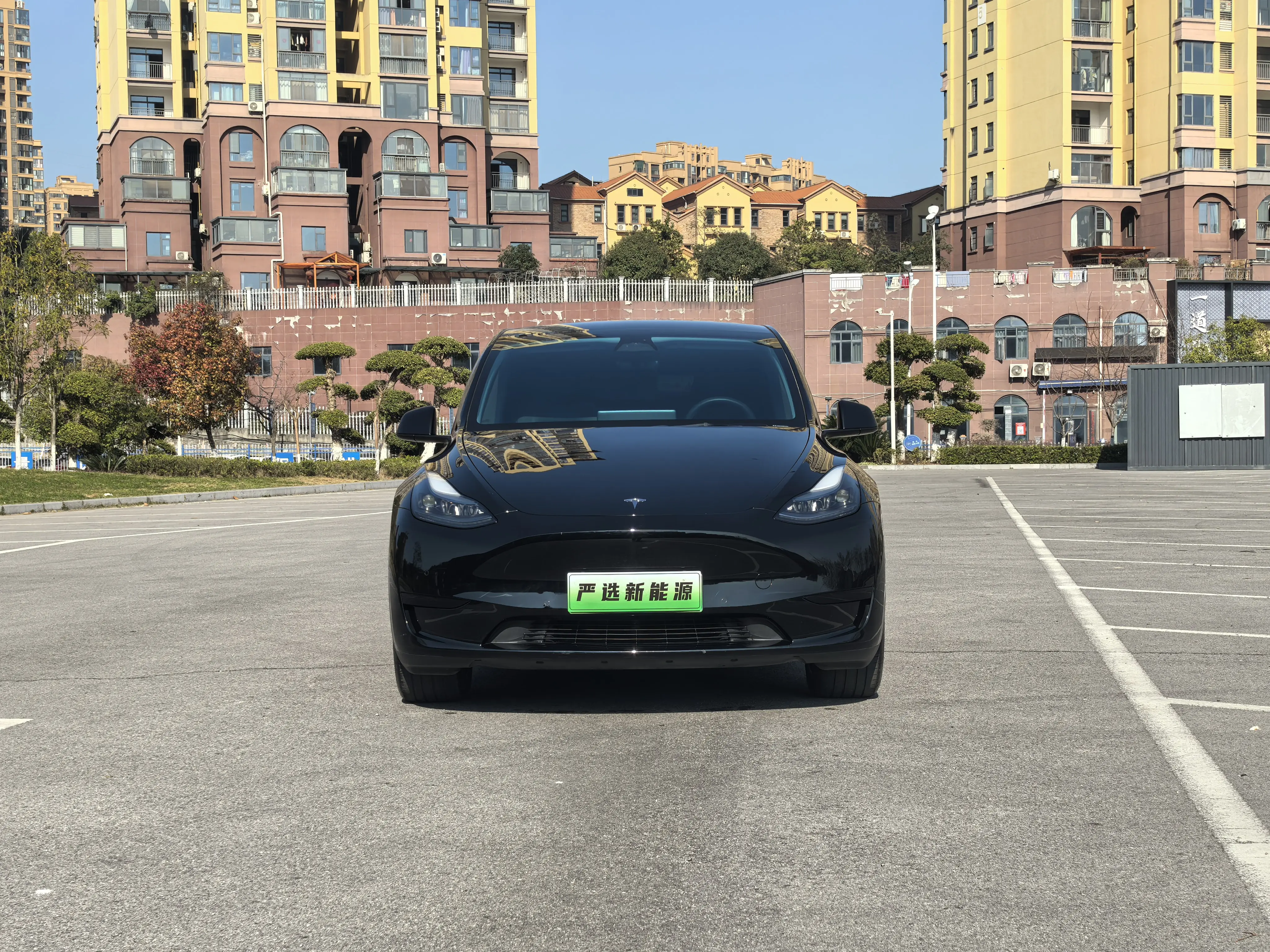 Tesla Model Y  из Китая