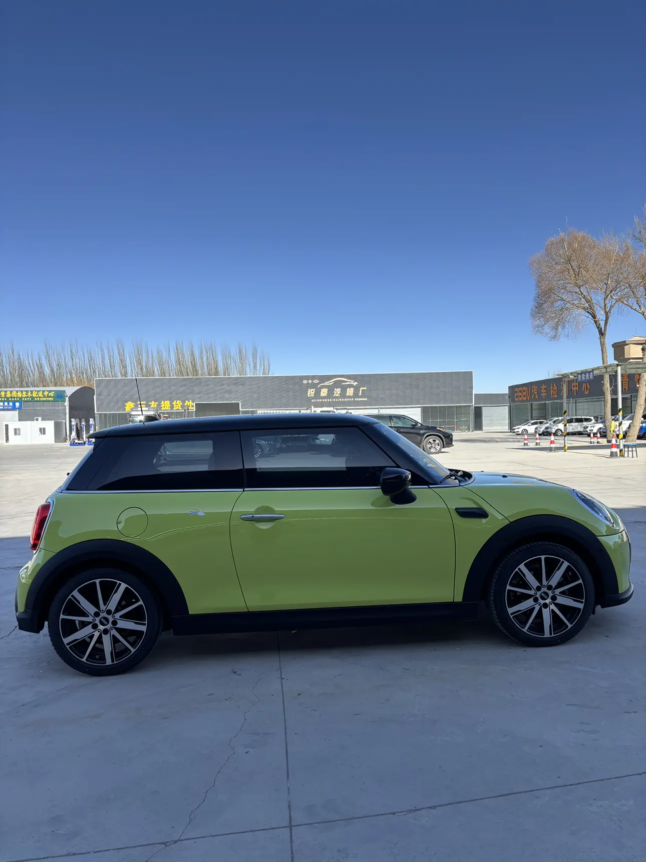 MINI 