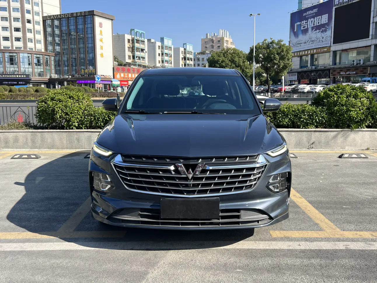 Wuling Capgemini Victory  из Китая