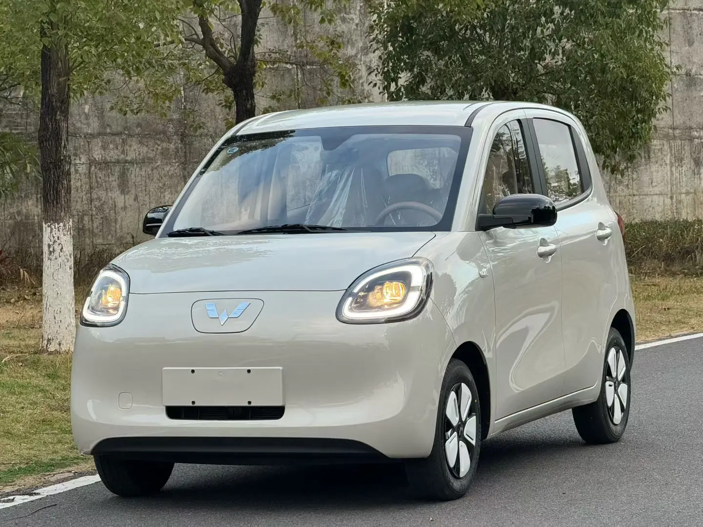 Wuling Hongguang MINIEV  из Китая