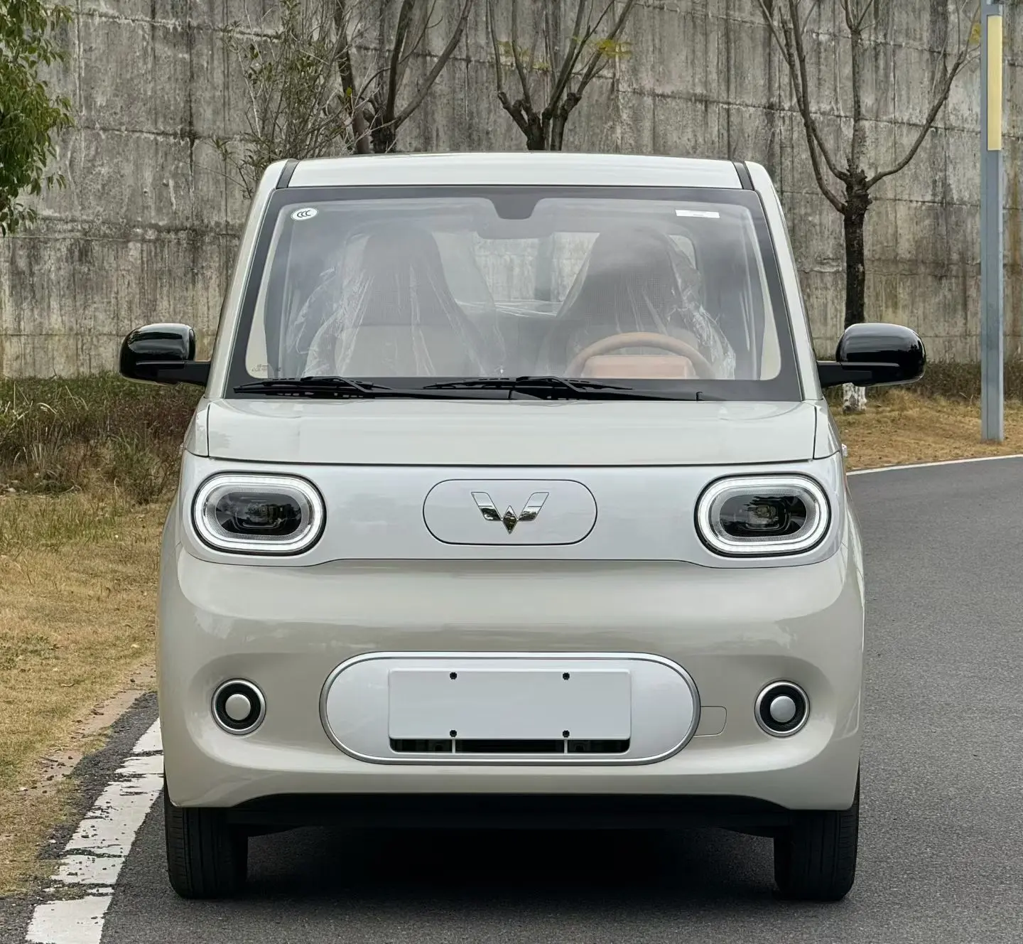 Wuling Hongguang MINIEV  из Китая