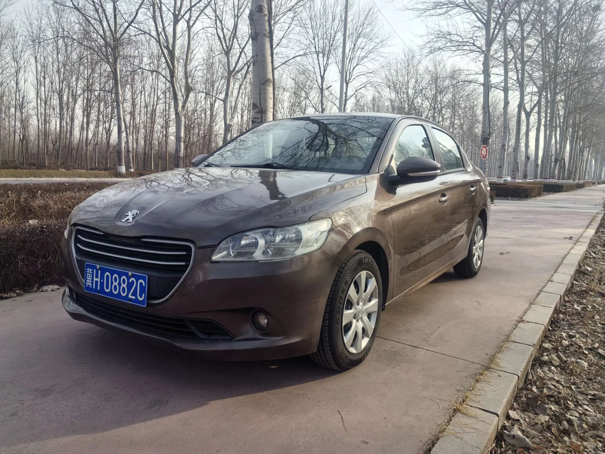 Peugeot 301  из Китая