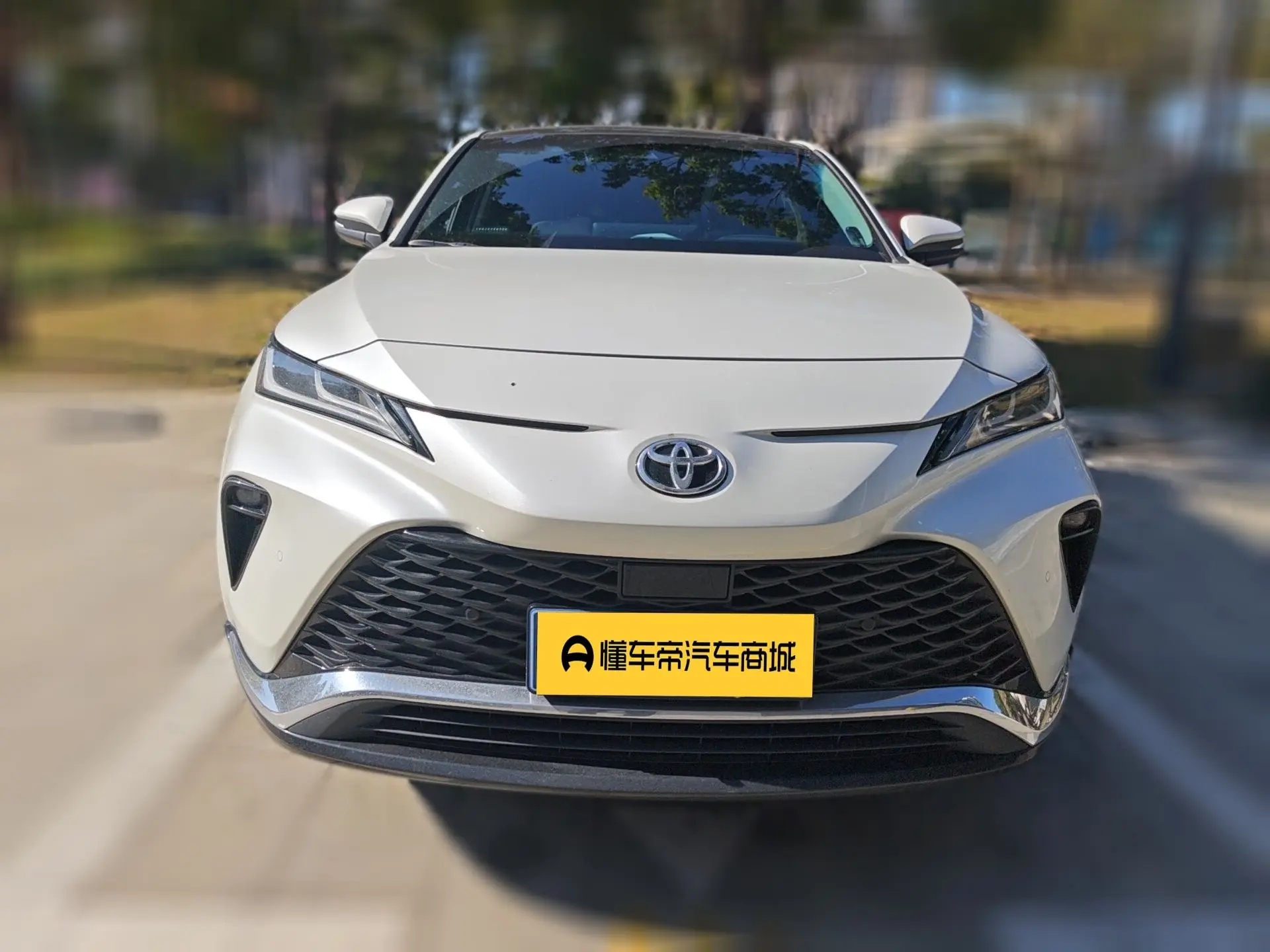 Toyota Venza (Wei Sa)  из Китая