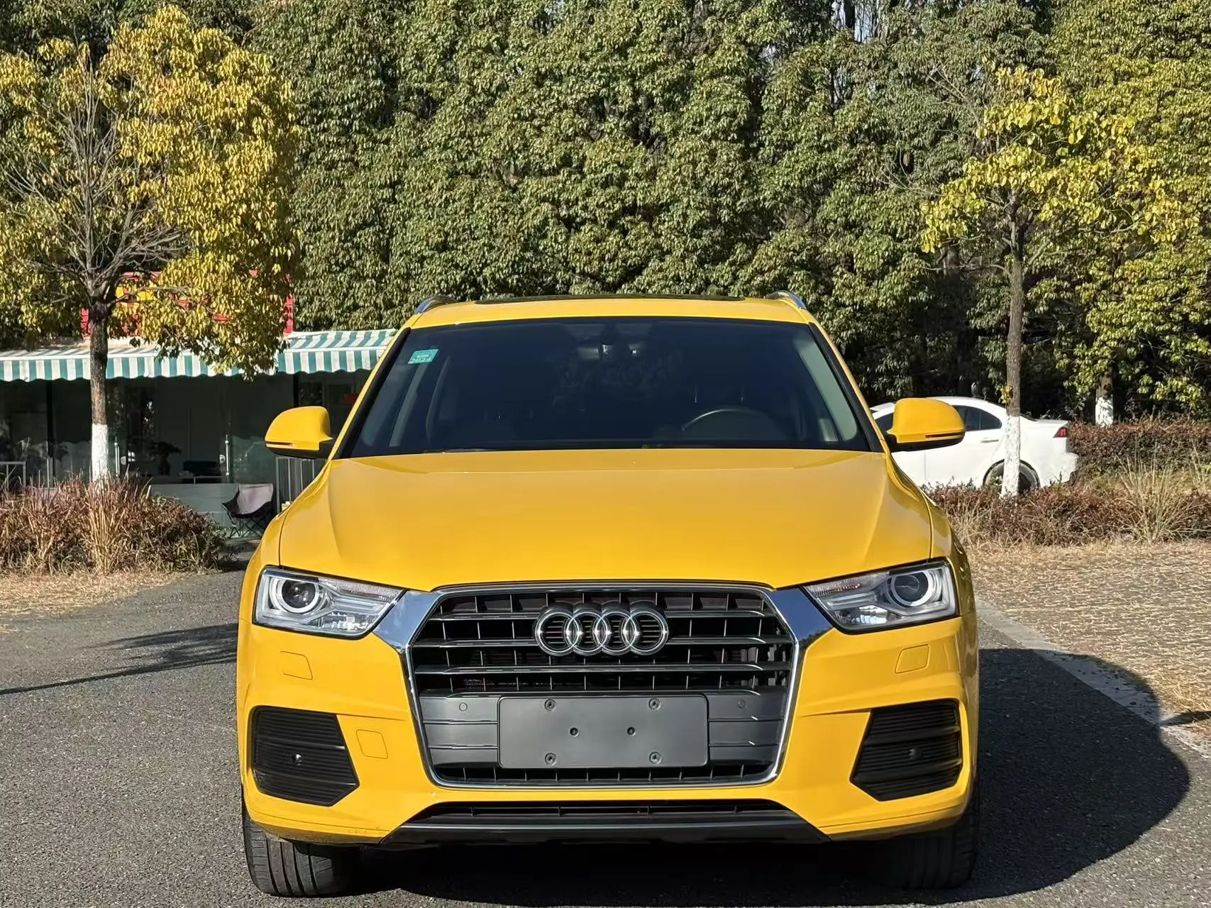 Audi Q3  из Китая