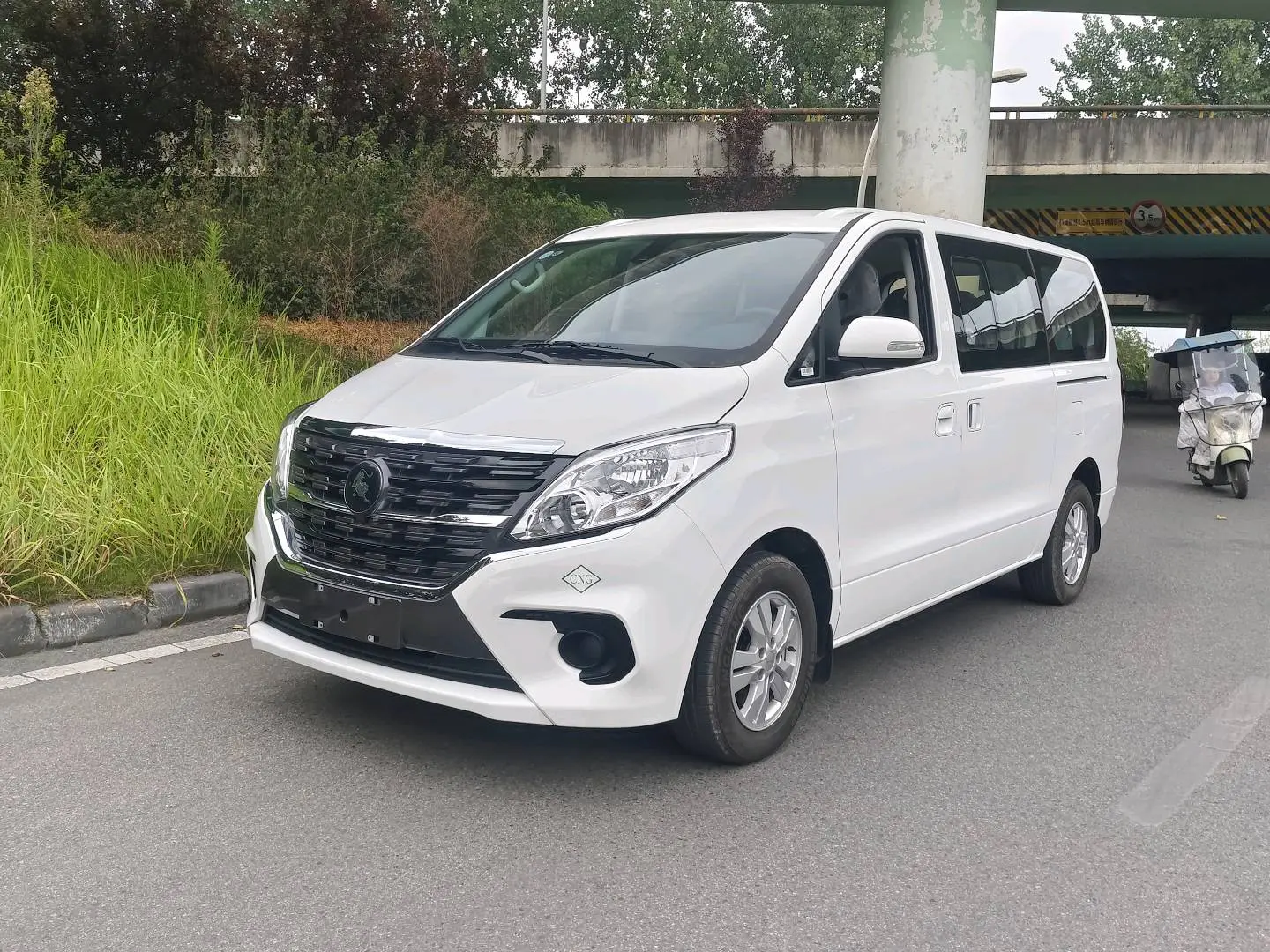 Forthing Lingzhi PLUS  из Китая