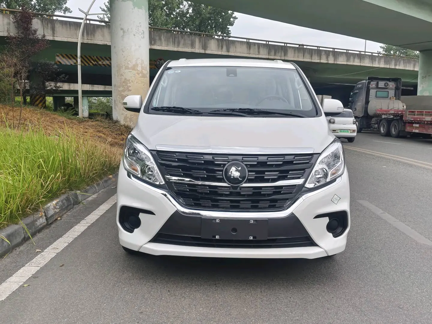 Forthing Lingzhi PLUS  из Китая