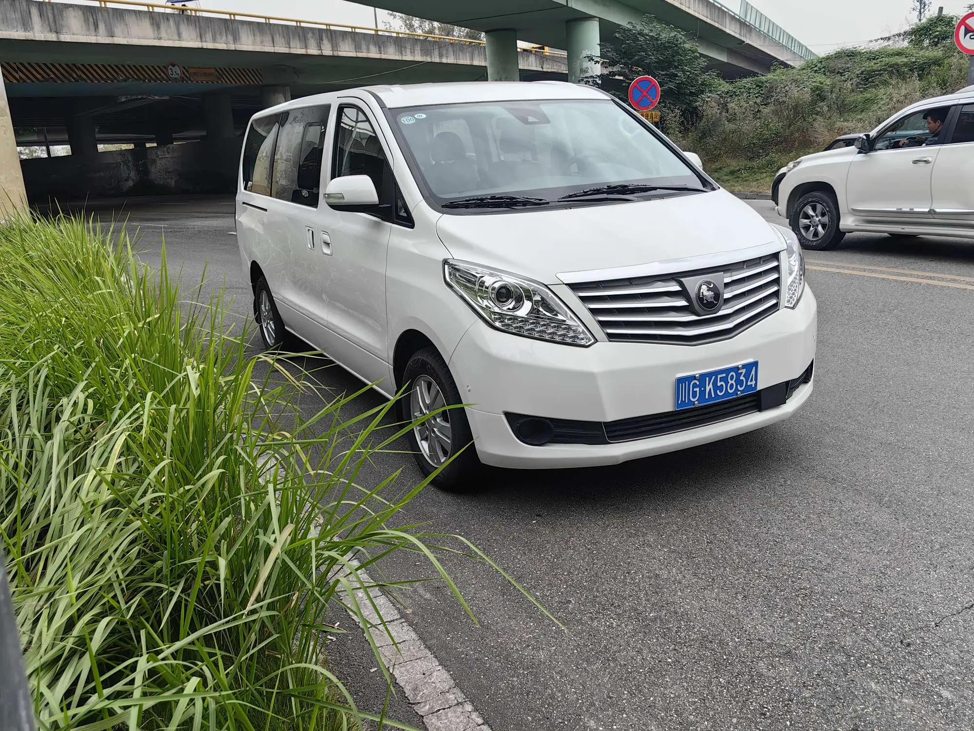 Forthing Lingzhi PLUS  из Китая