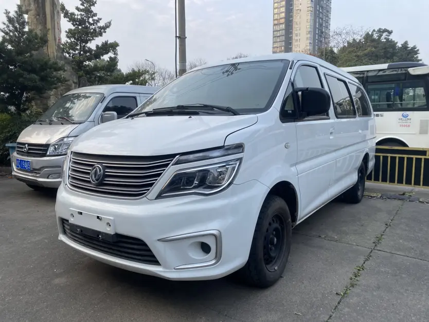 Forthing Lingzhi  из Китая