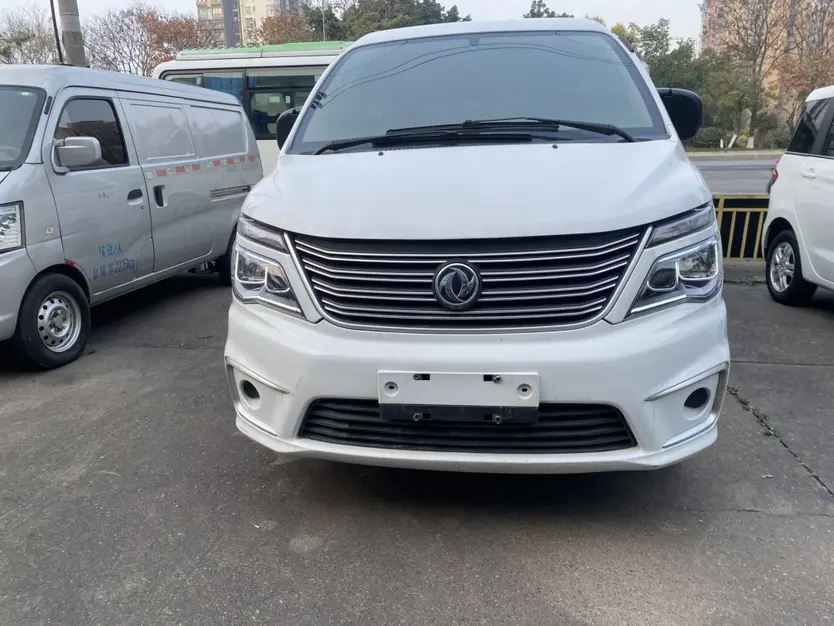 Forthing Lingzhi  из Китая