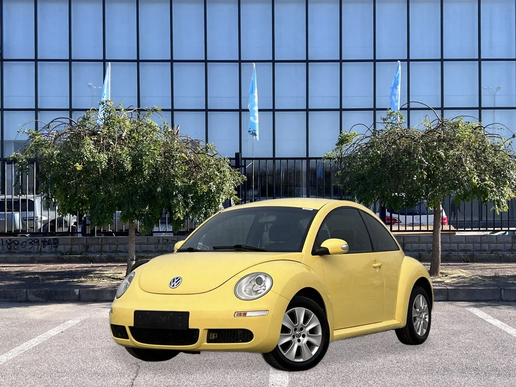 Volkswagen Beetle  из Китая
