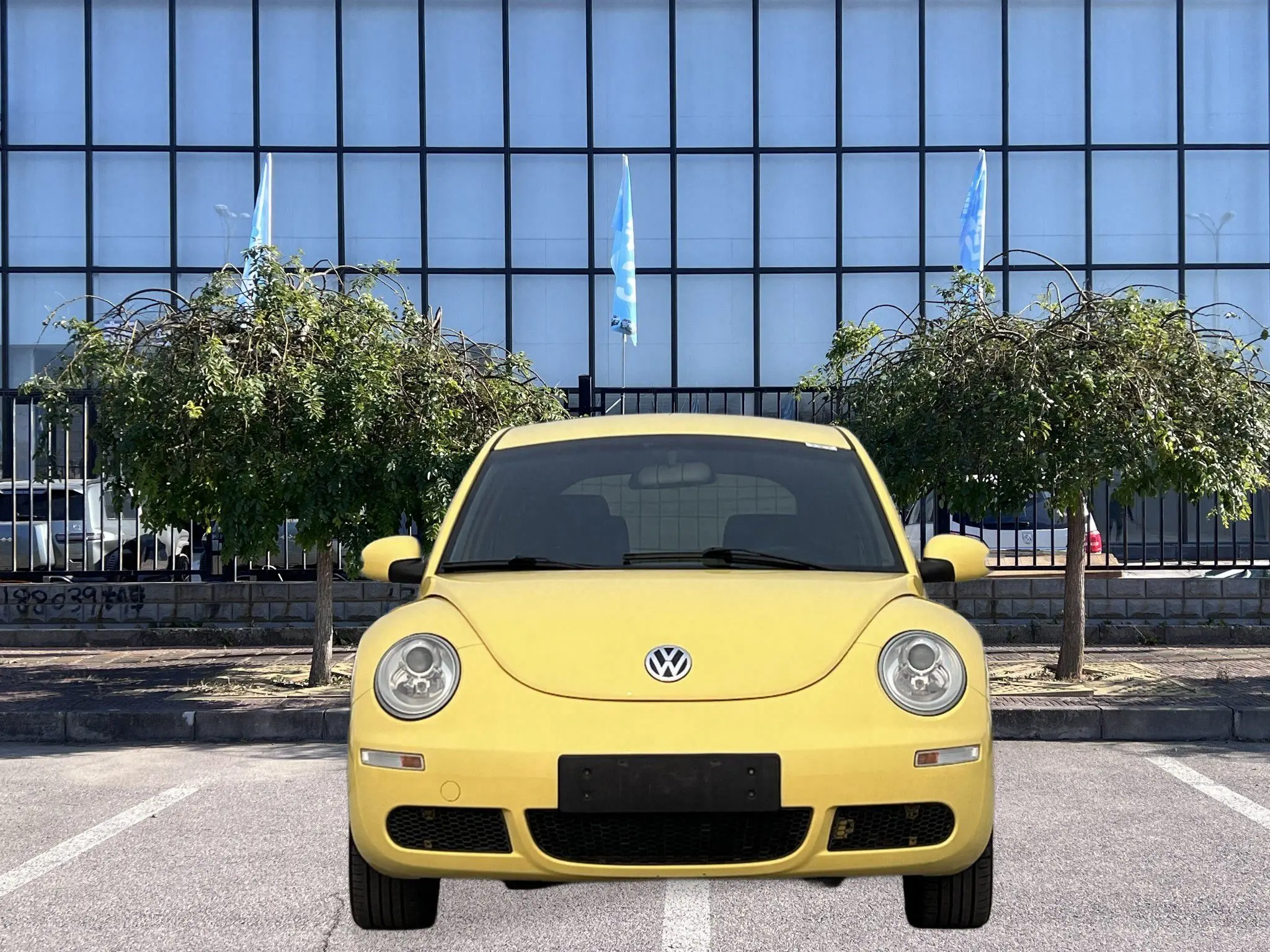 Volkswagen Beetle  из Китая