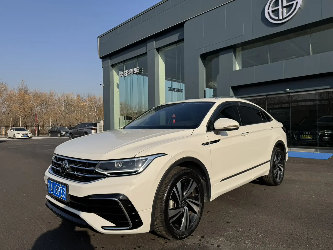 Volkswagen TiguanX  из Китая
