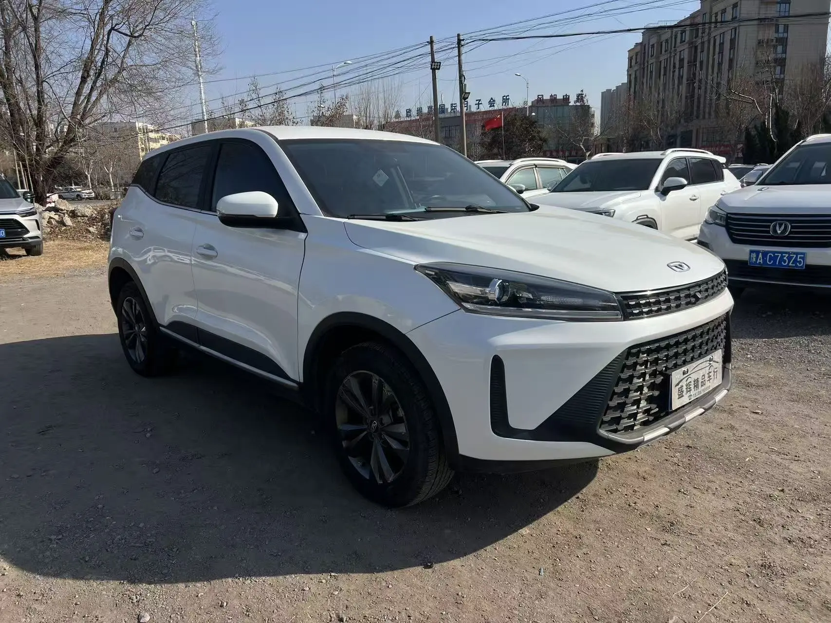 Kaiyi Dazzling world  из Китая