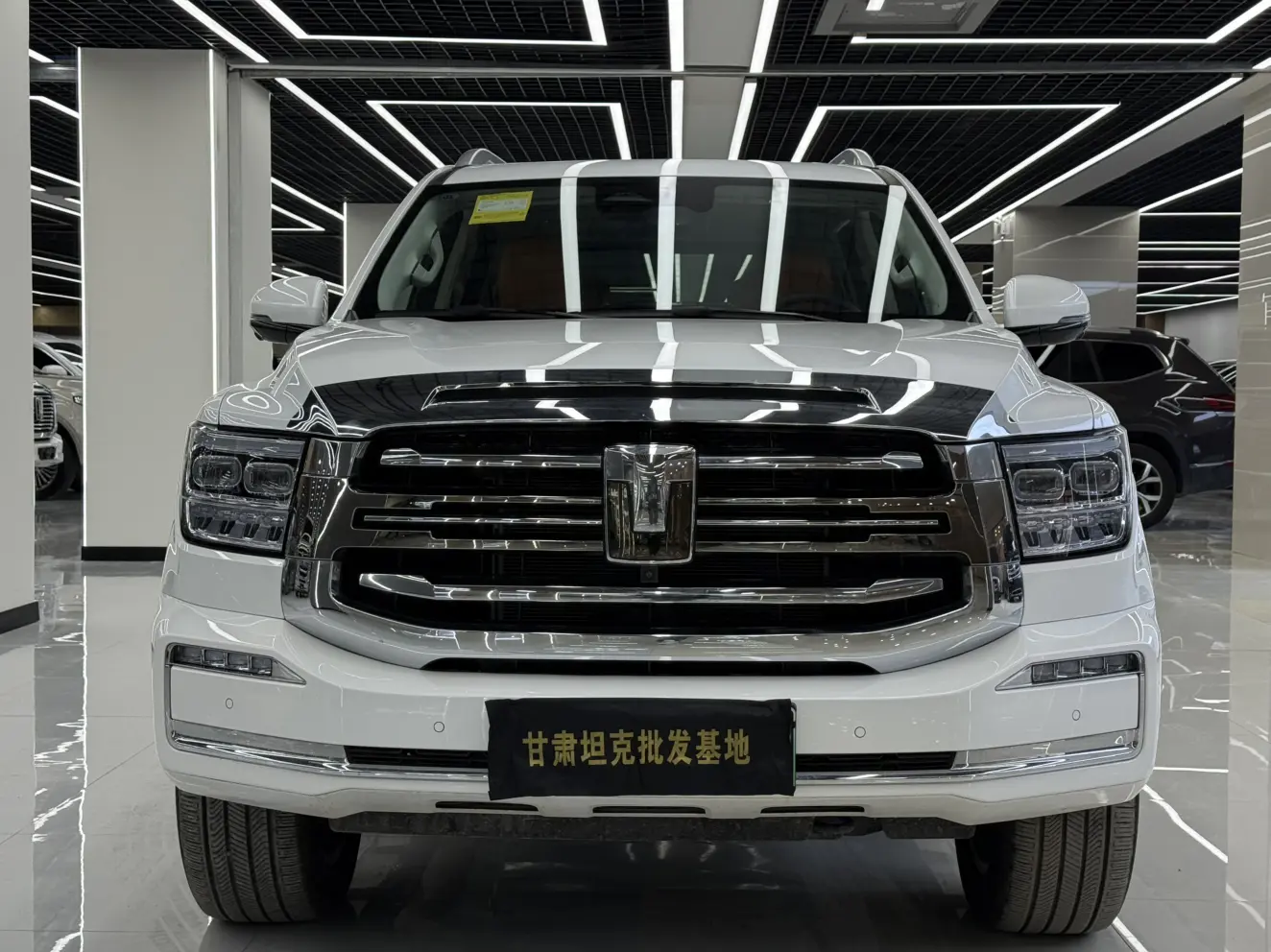 Tank 500 Hi4-Z  из Китая