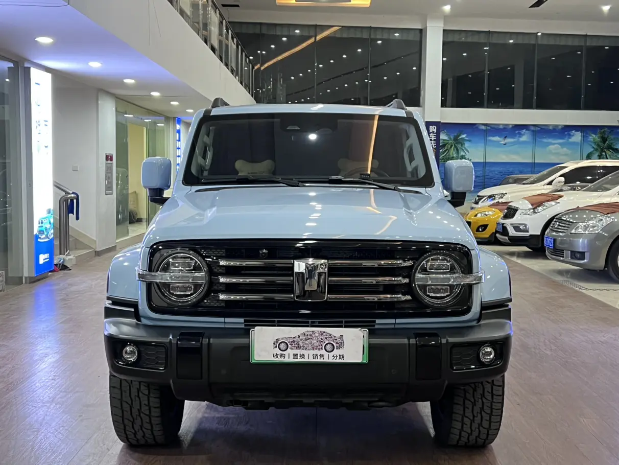 Tank 300 Hi4-T  из Китая