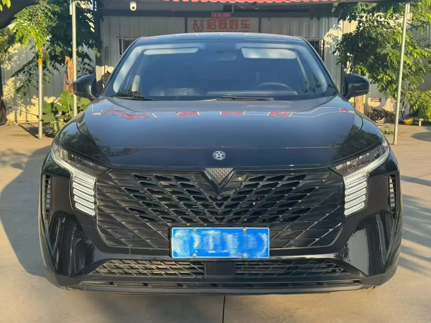 Kai Chen Venucia Big V  из Китая