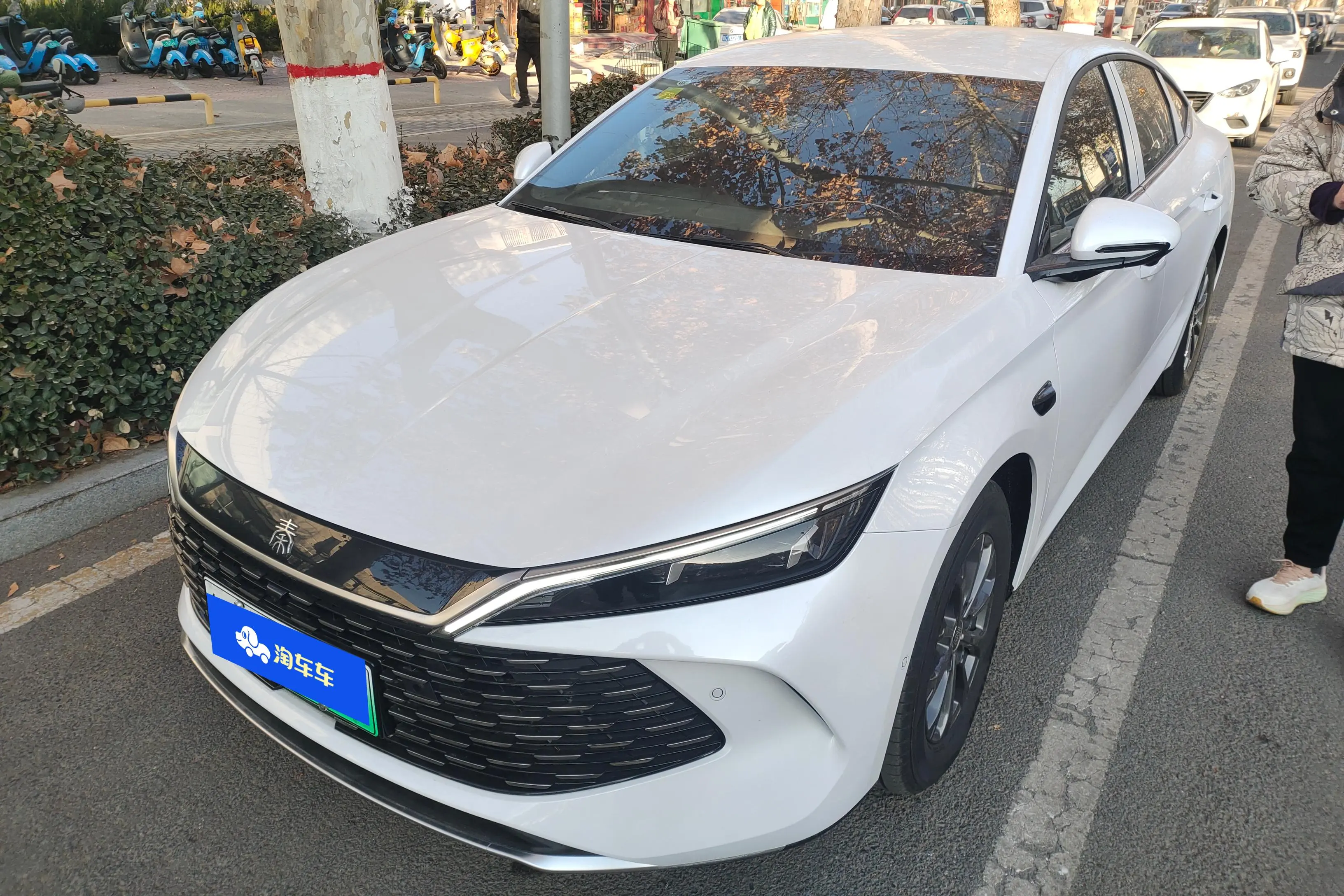 BYD Qin L DM  из Китая