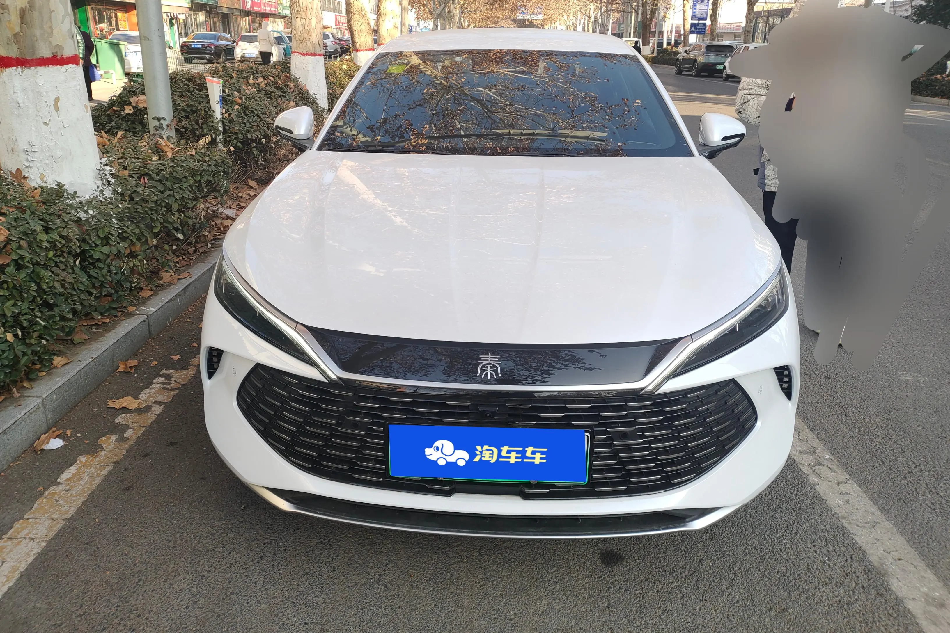 BYD Qin L DM  из Китая