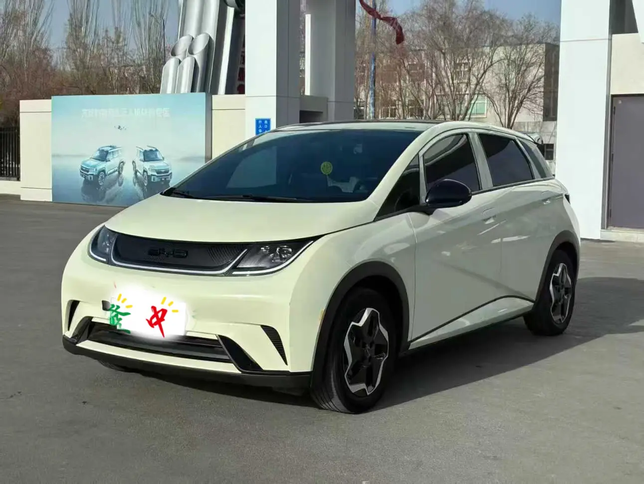 BYD Dolphin  из Китая