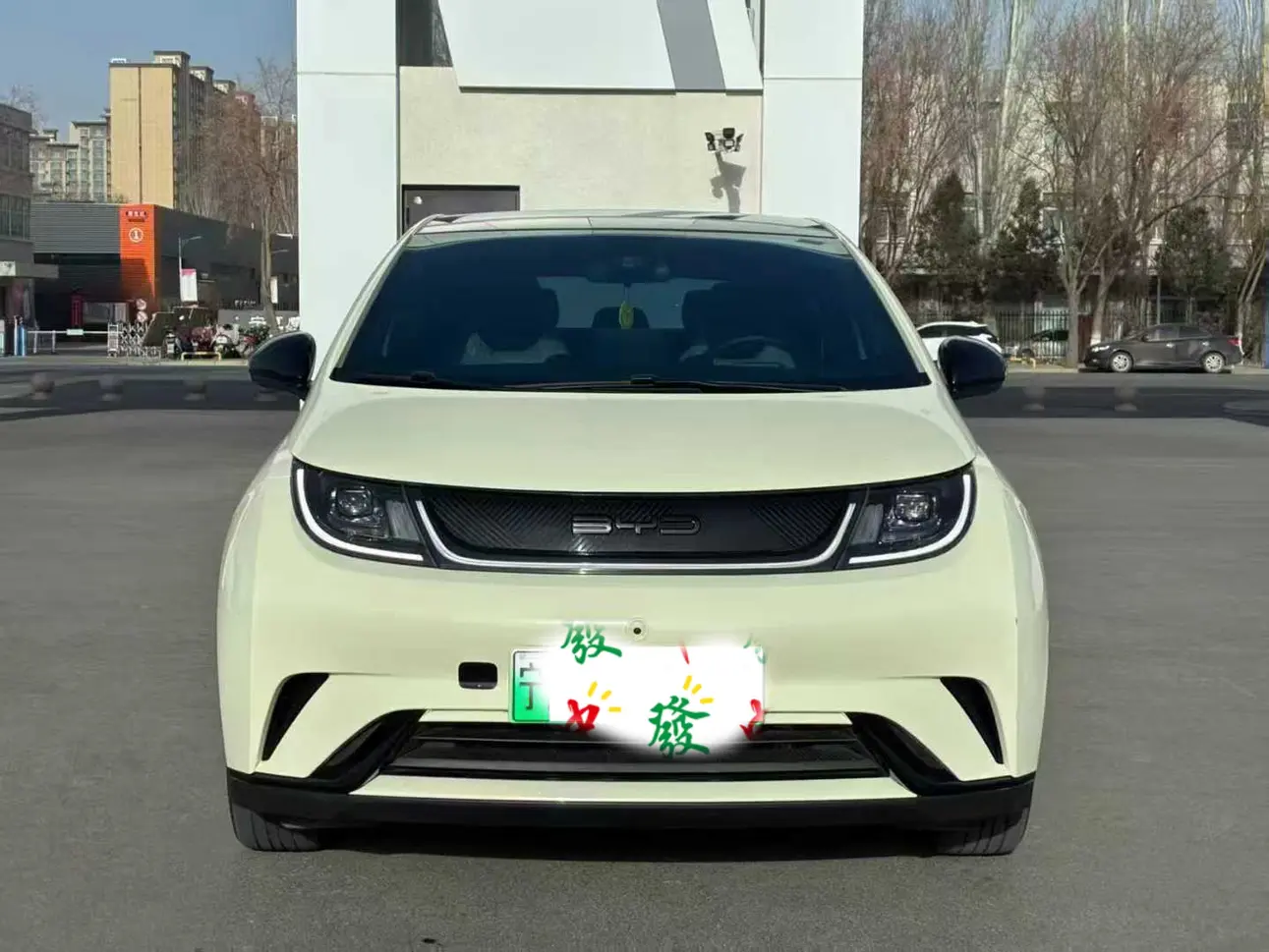 BYD Dolphin  из Китая