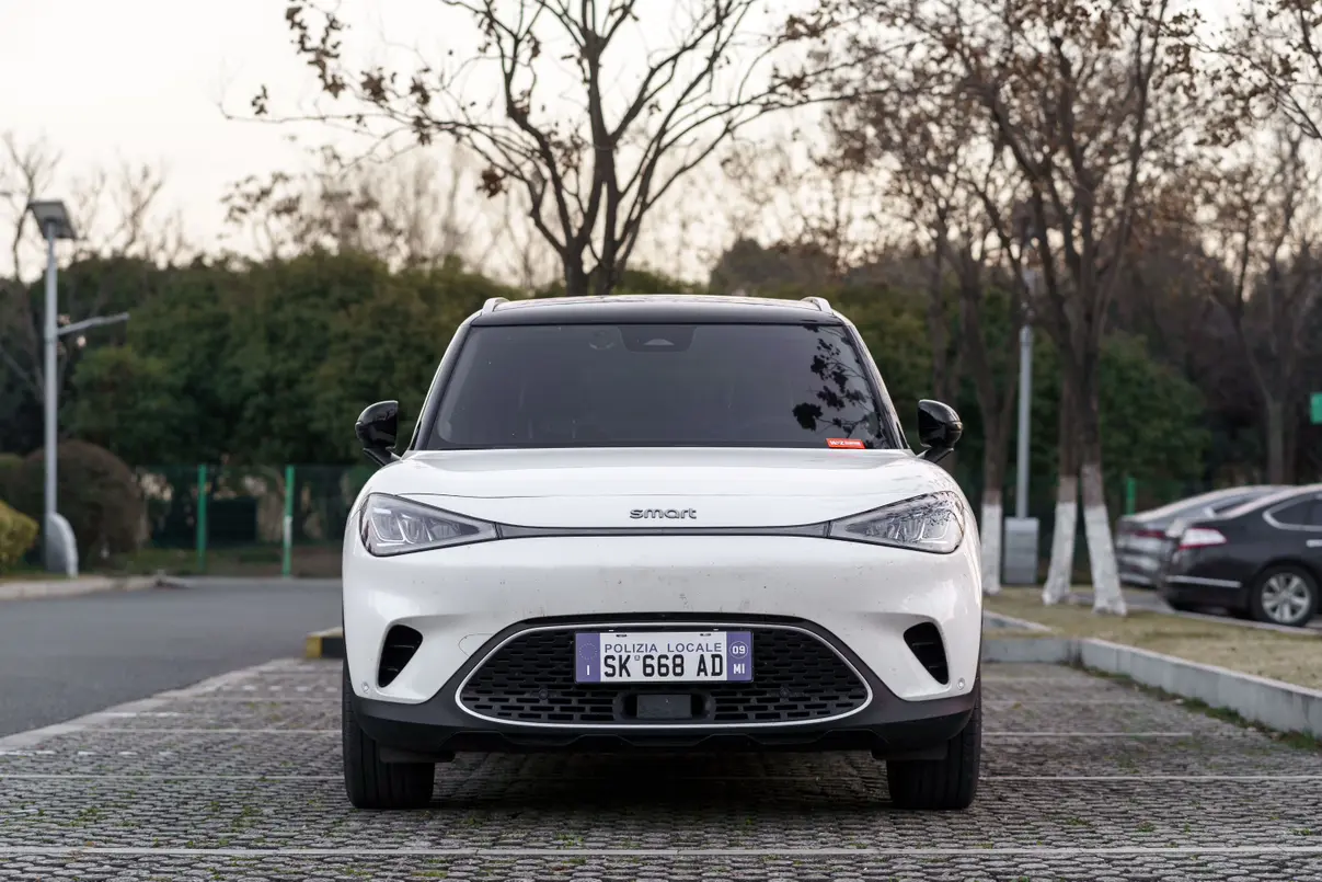 Smart elf #1  из Китая