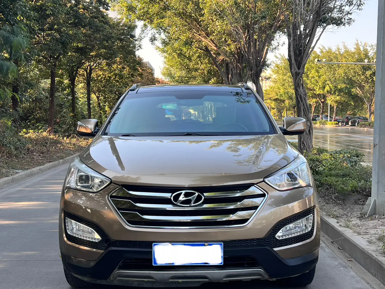Hyundai Shengda  из Китая