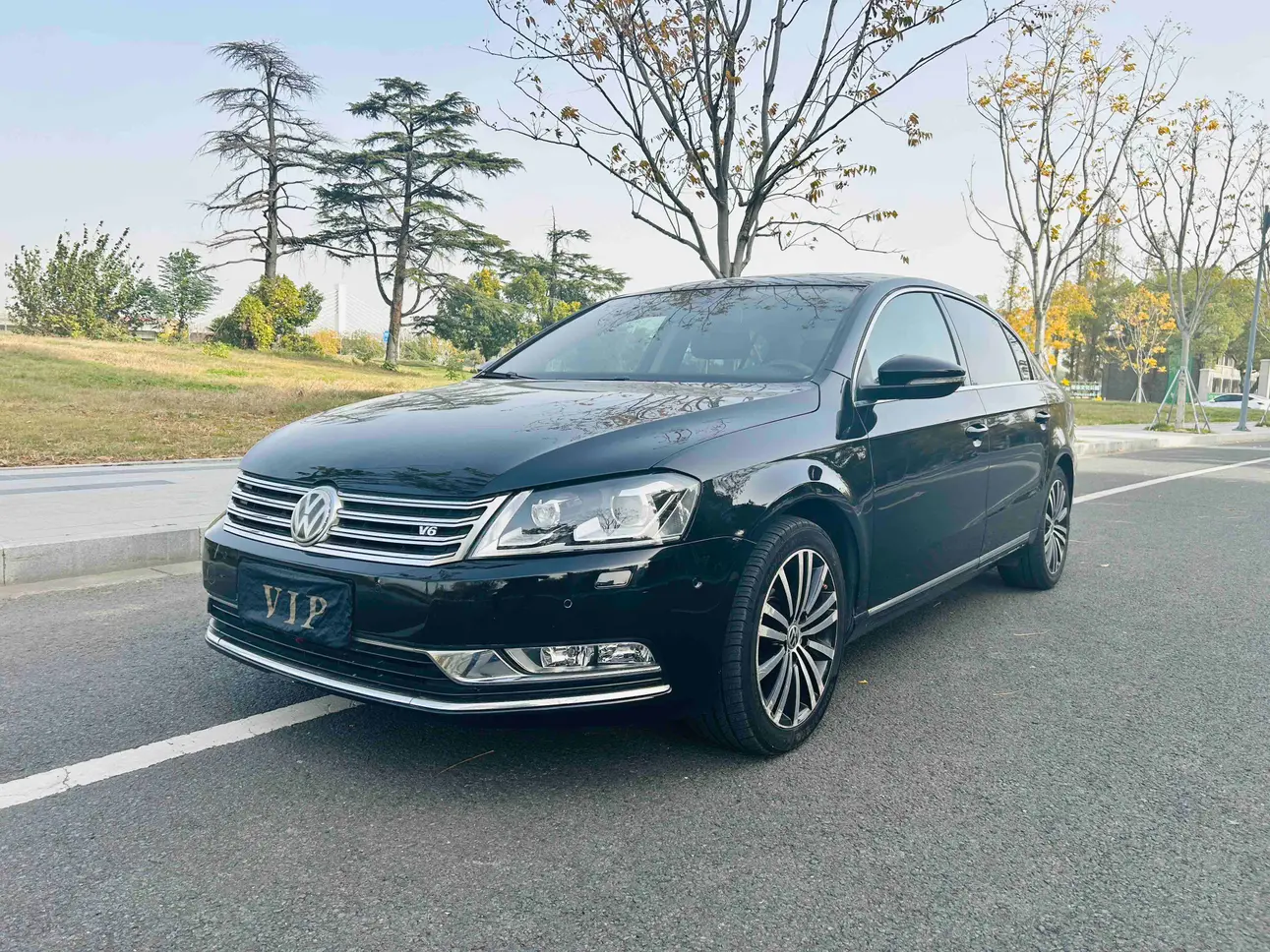 Volkswagen Magotan  из Китая