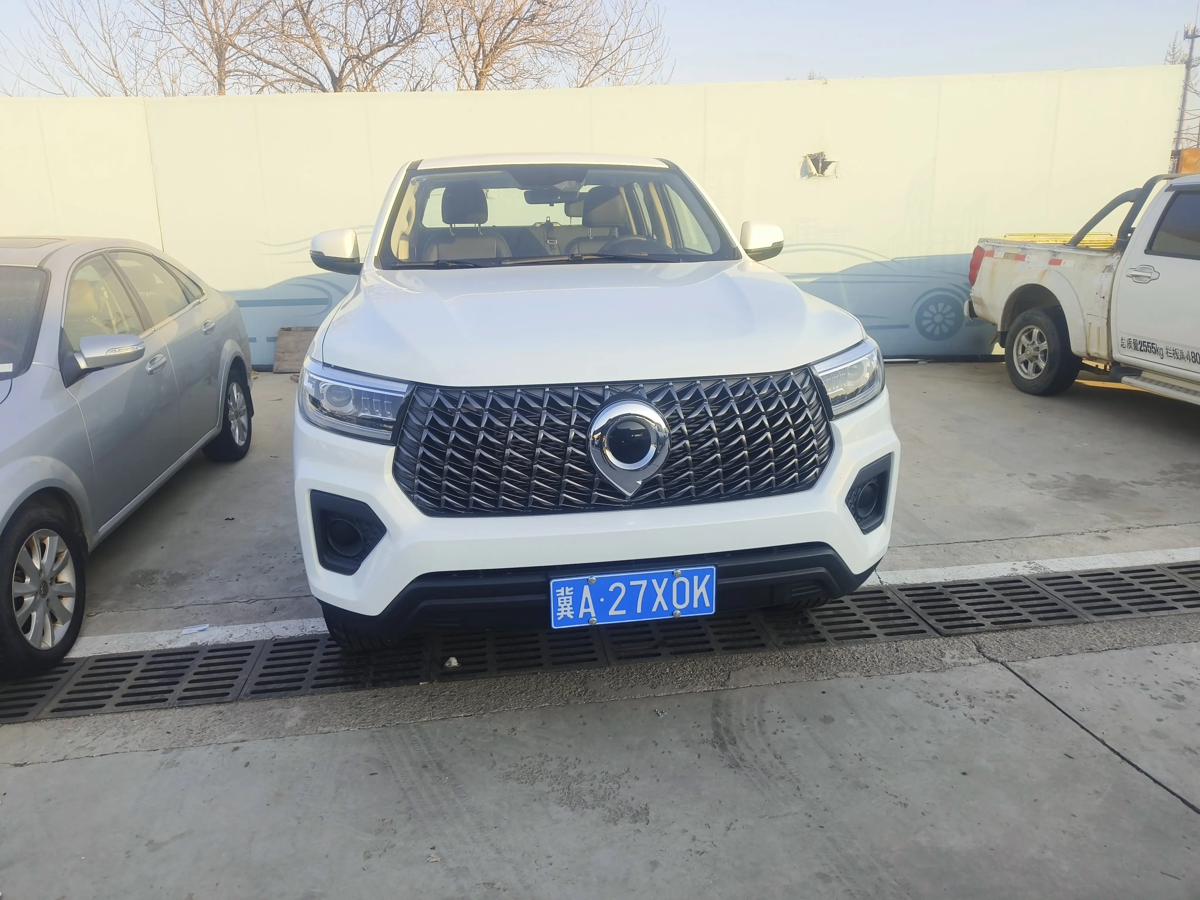 Great Wall Gun  из Китая