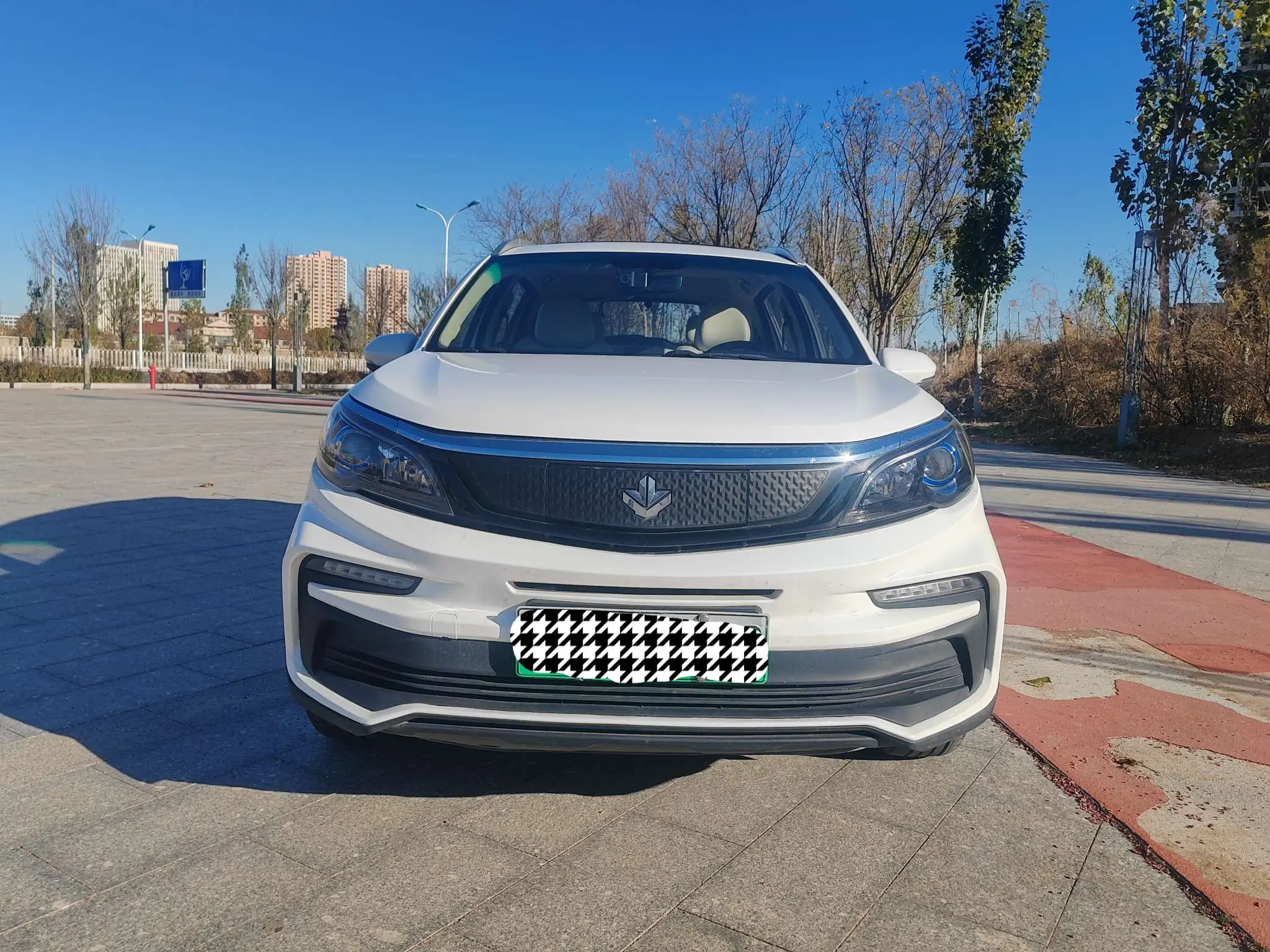 Ruilan Maple Leaf 30X  из Китая