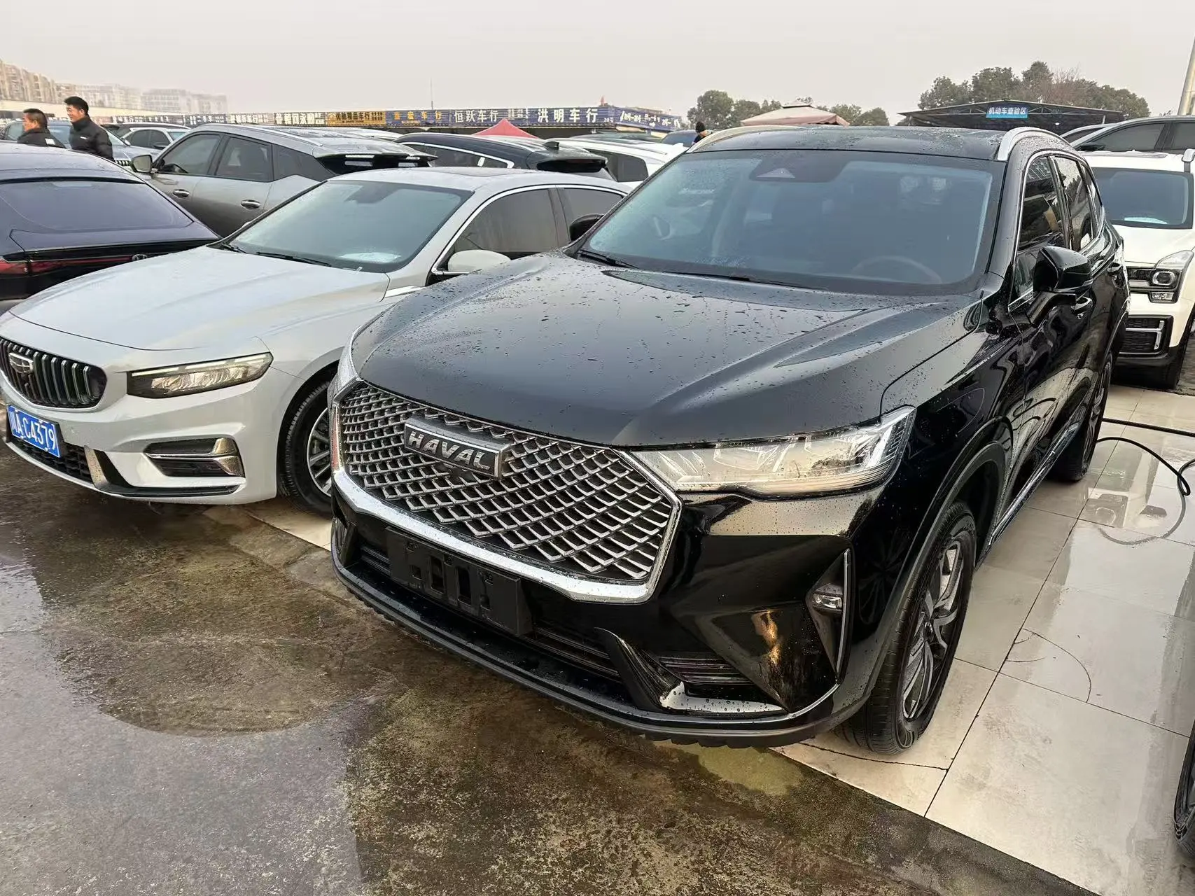 Haval H6  из Китая