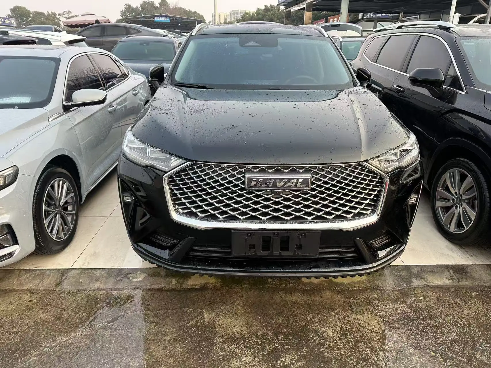 Haval H6  из Китая